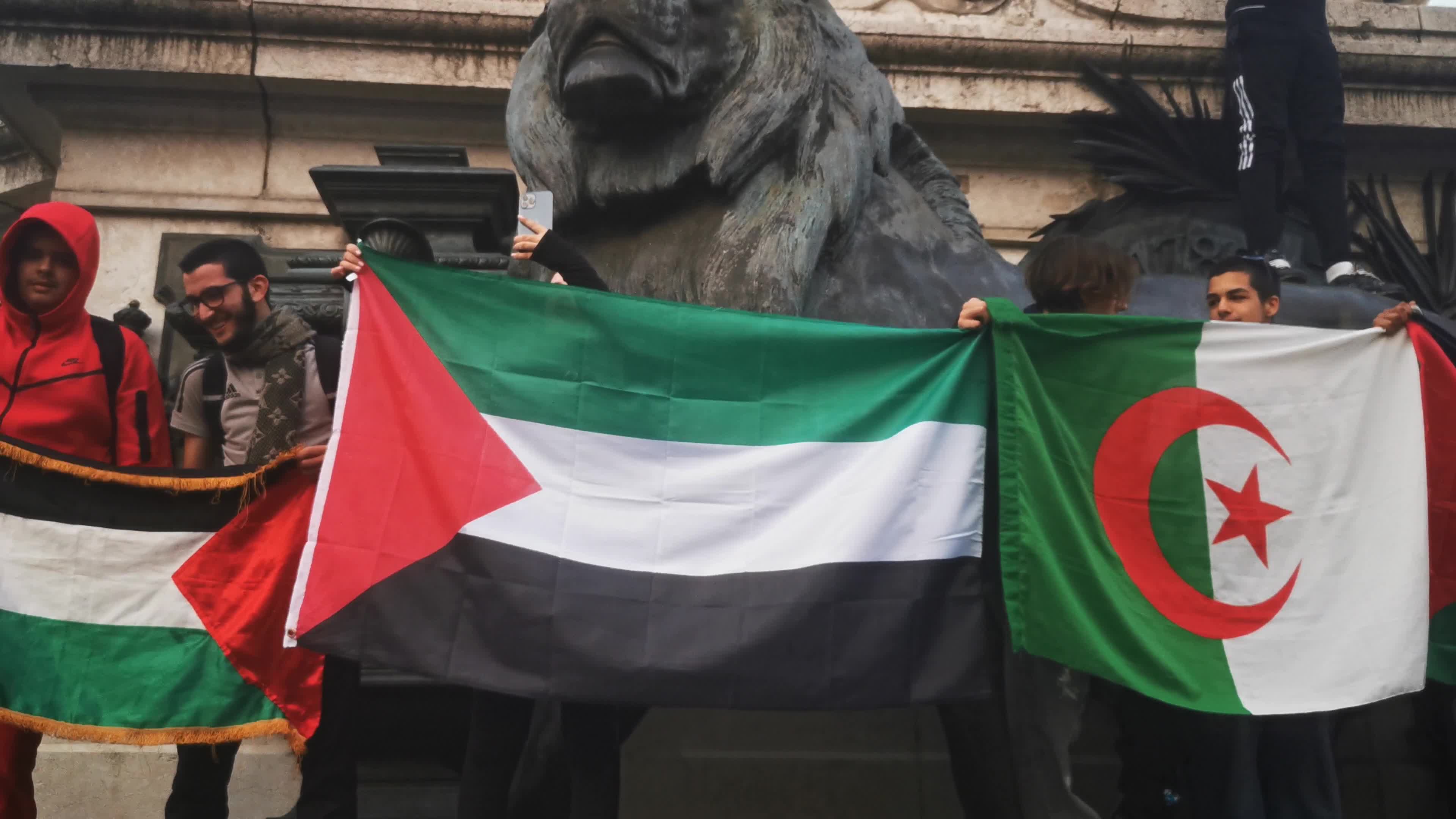 Prohibited Pro-Palestinian Protests In Paris