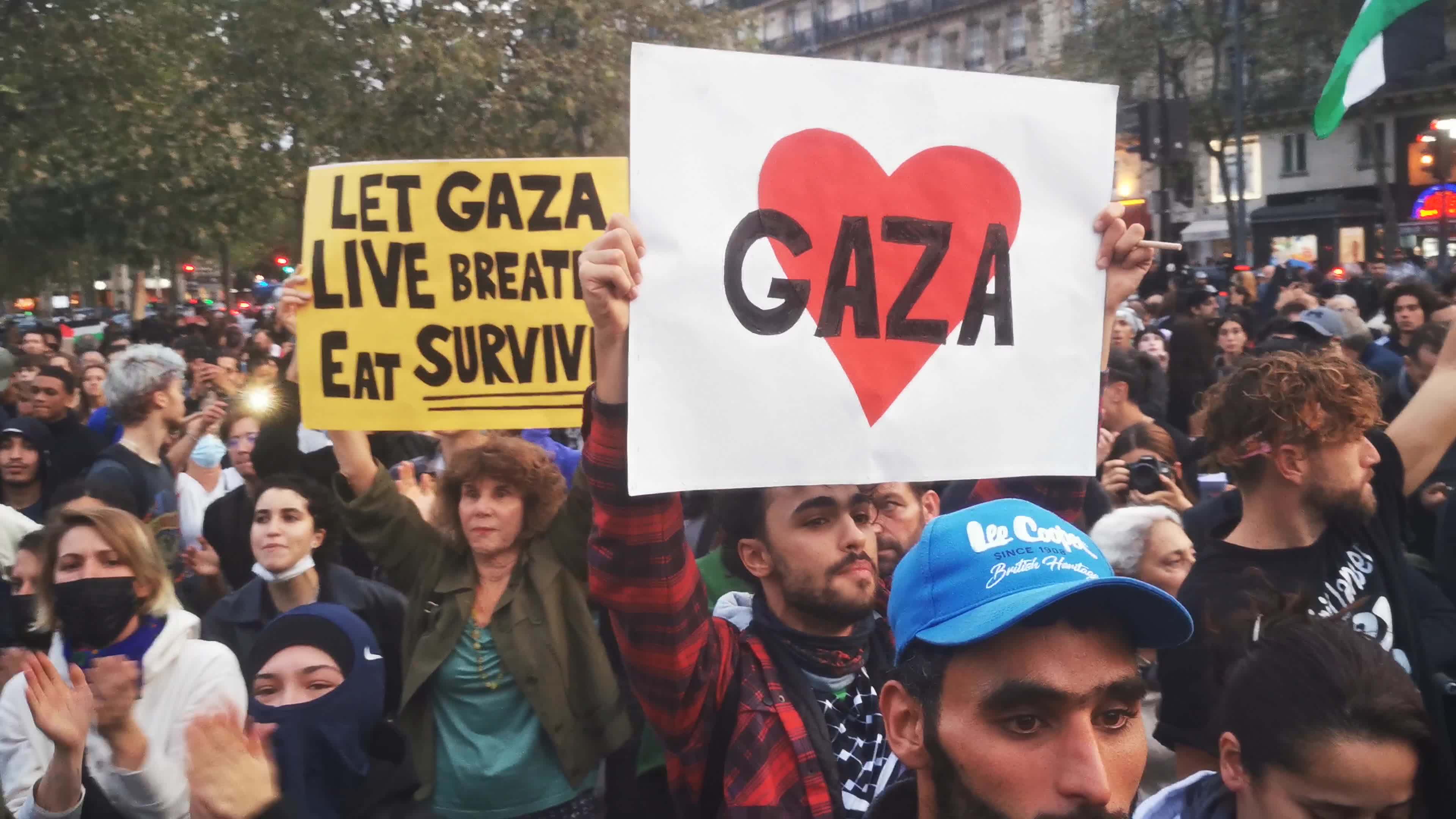 Prohibited Pro-Palestinian Protests In Paris