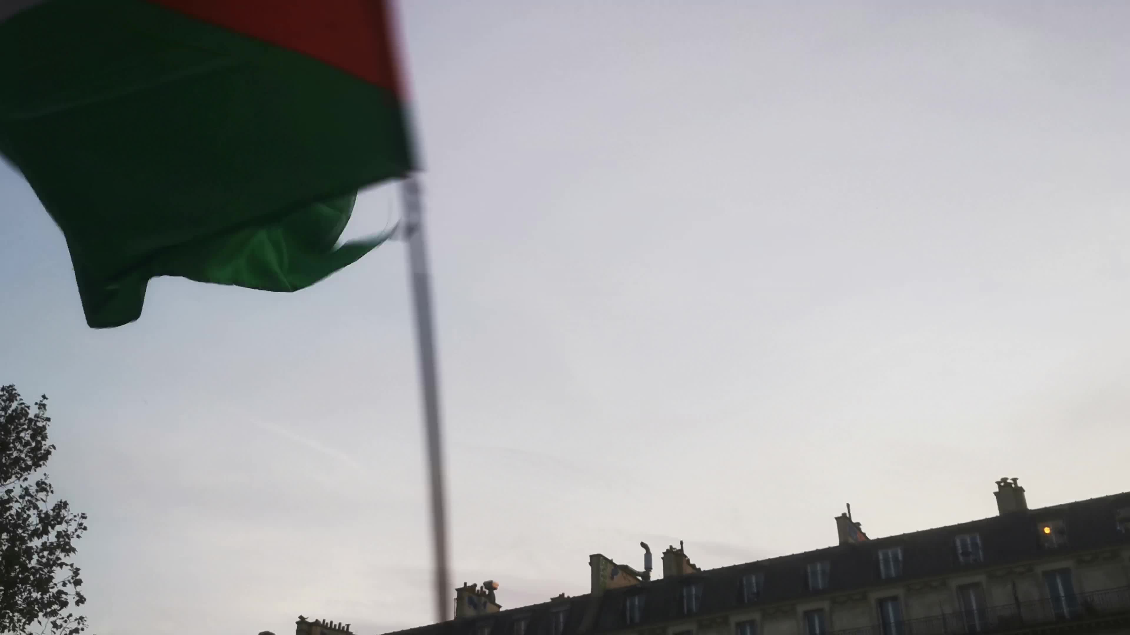 Prohibited Pro-Palestinian Protests In Paris