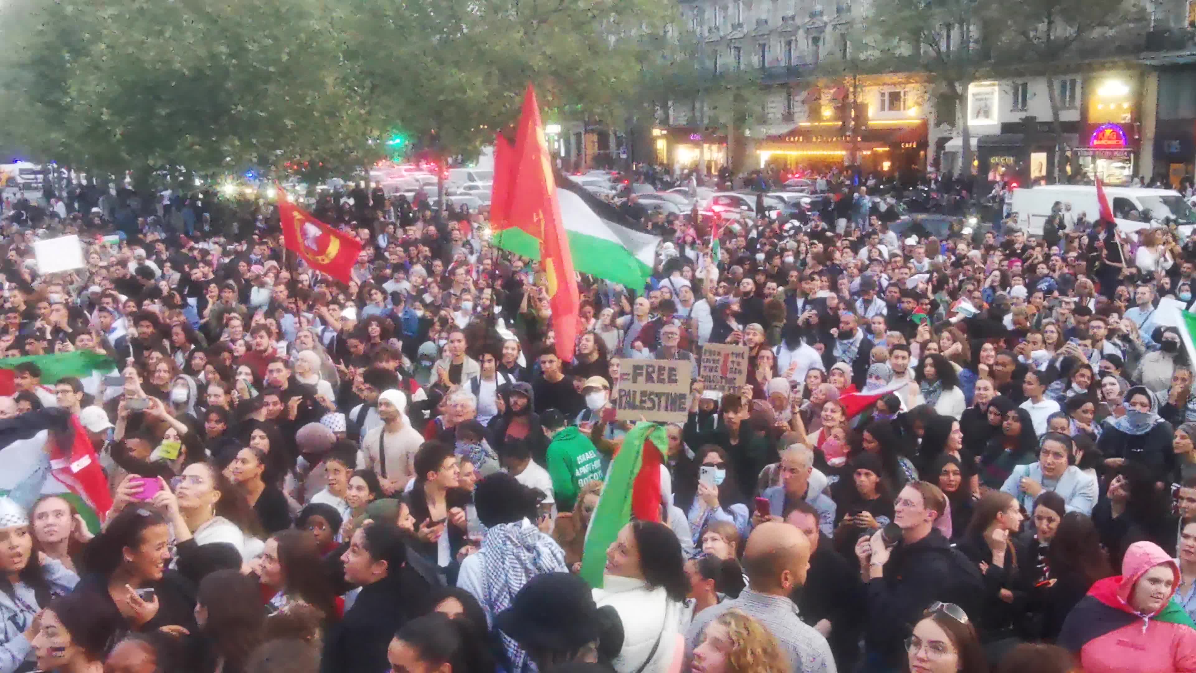 Prohibited Pro-Palestinian Protests In Paris