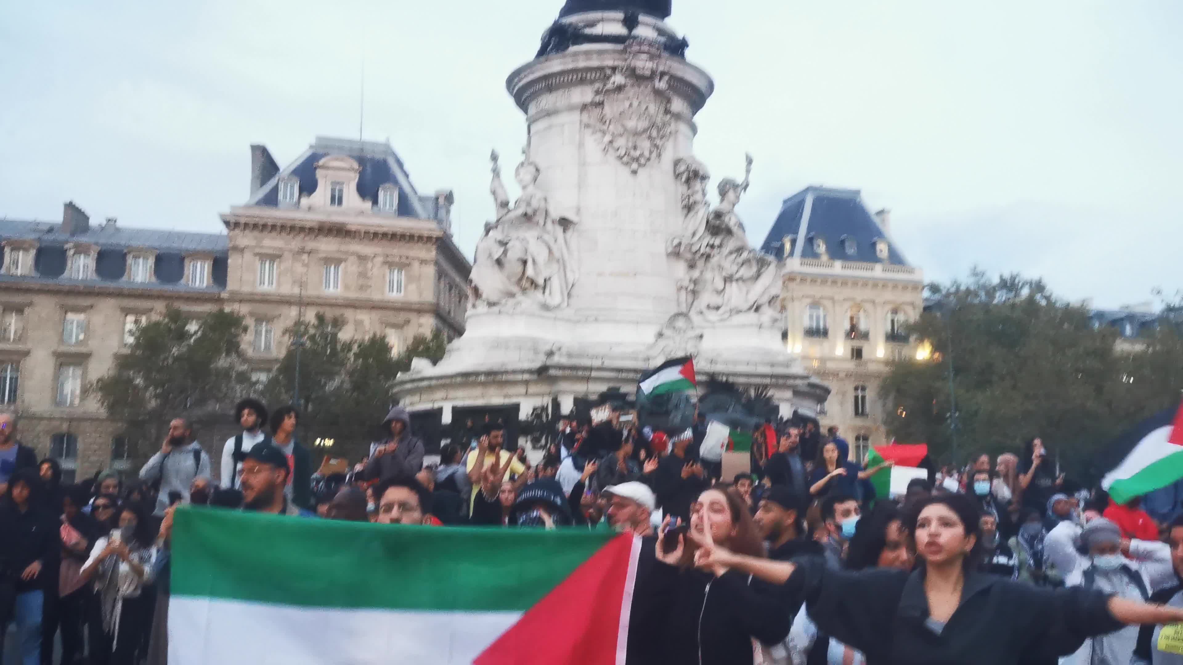 Prohibited Pro-Palestinian Protests In Paris