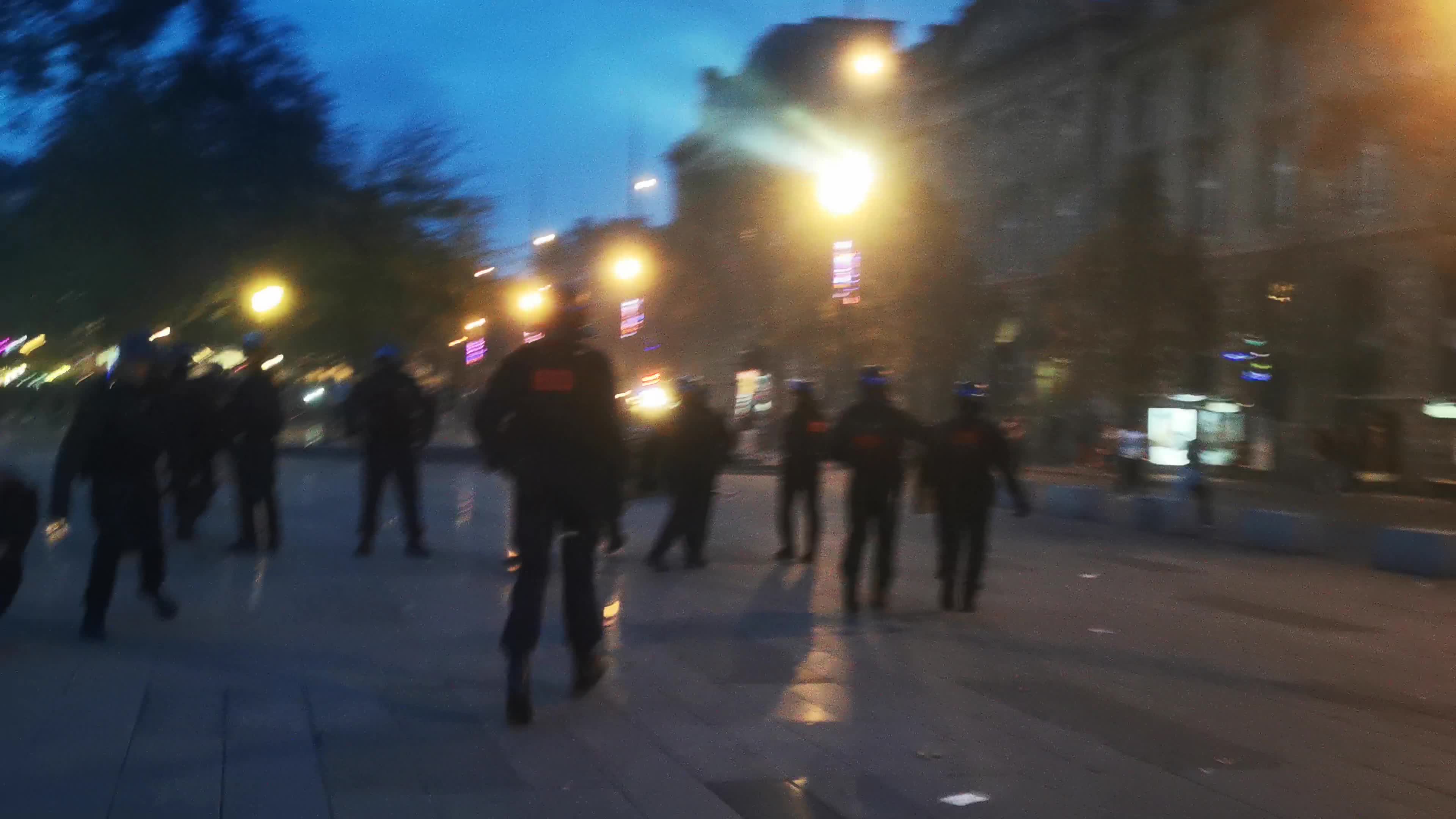 Prohibited Pro-Palestinian Protests In Paris