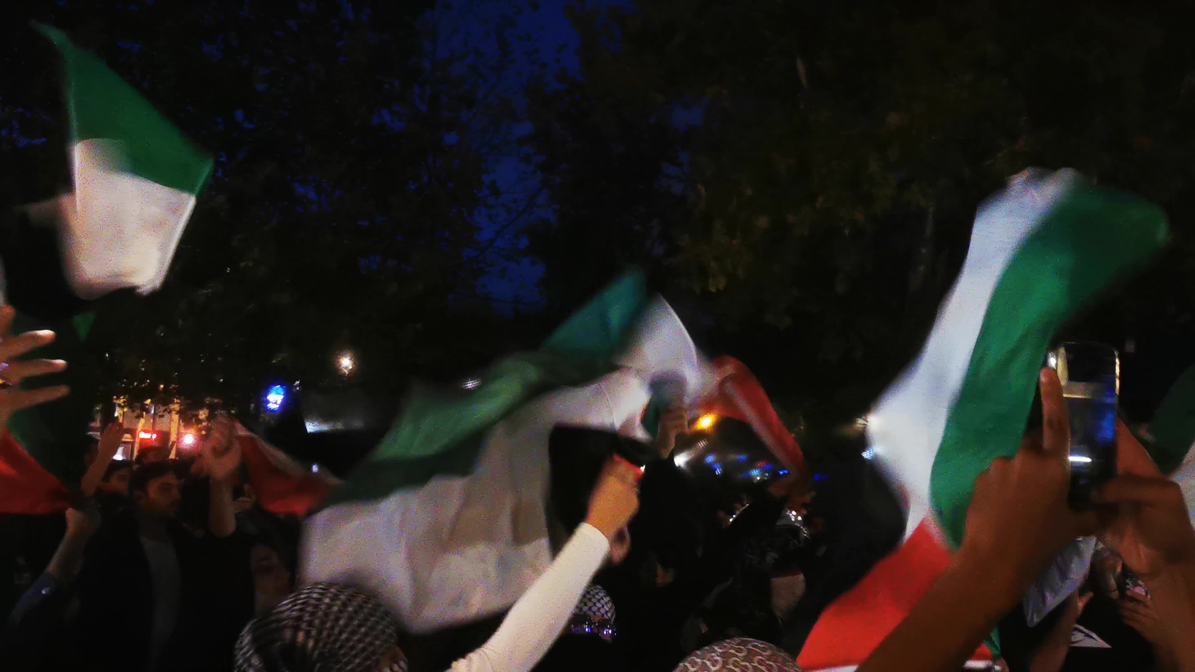 Prohibited Pro-Palestinian Protests In Paris