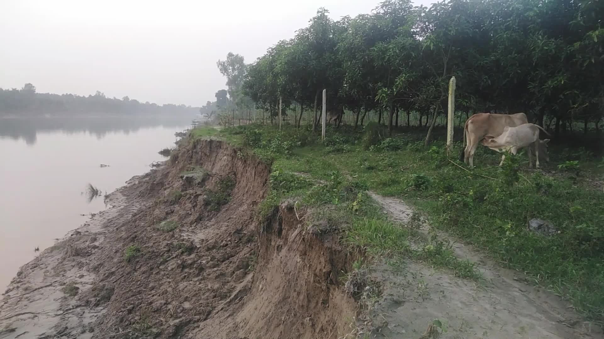 River Erosion of Atrai River in Naogaon, Bangladesh