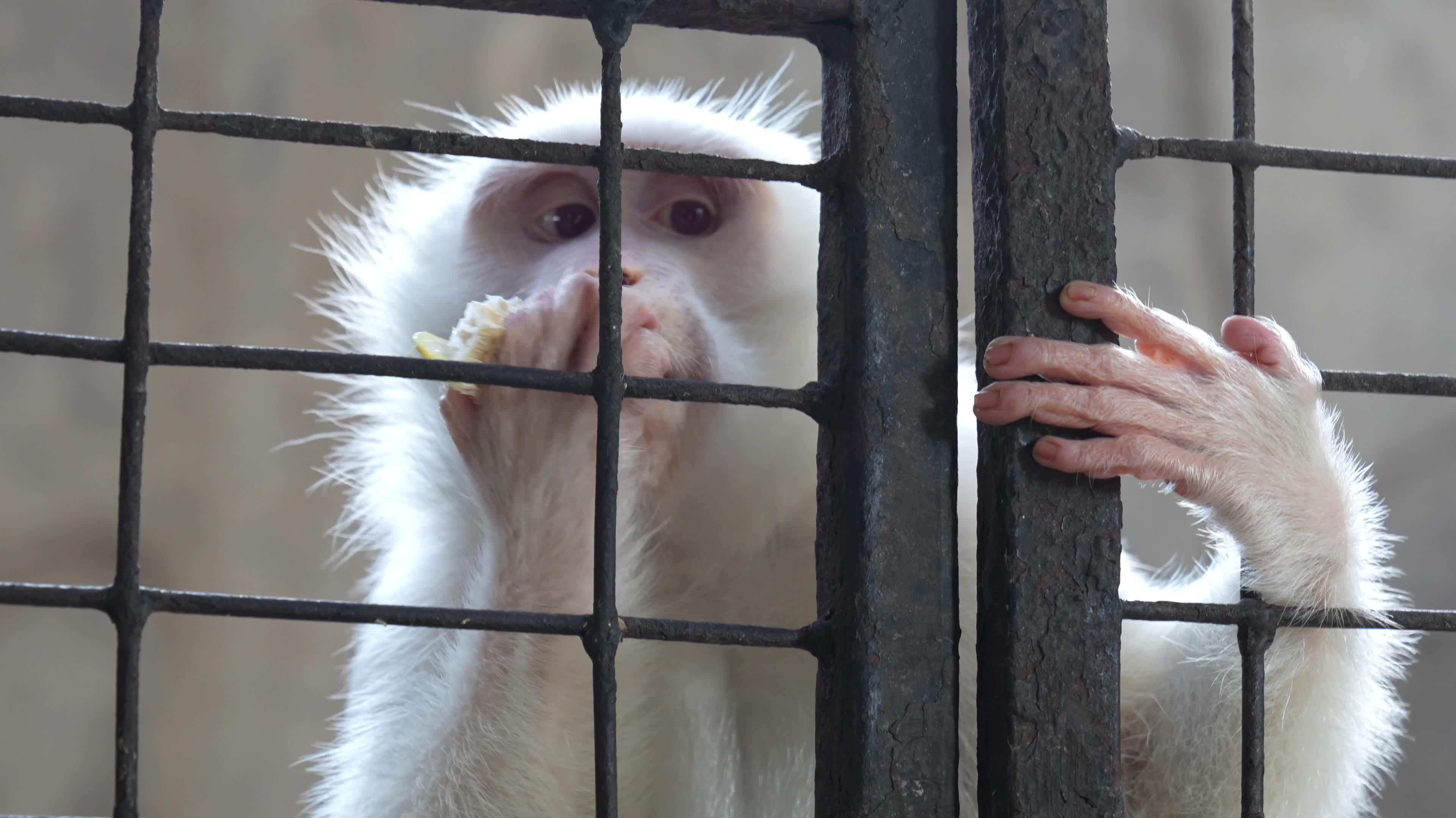 Zoo in Bangkok