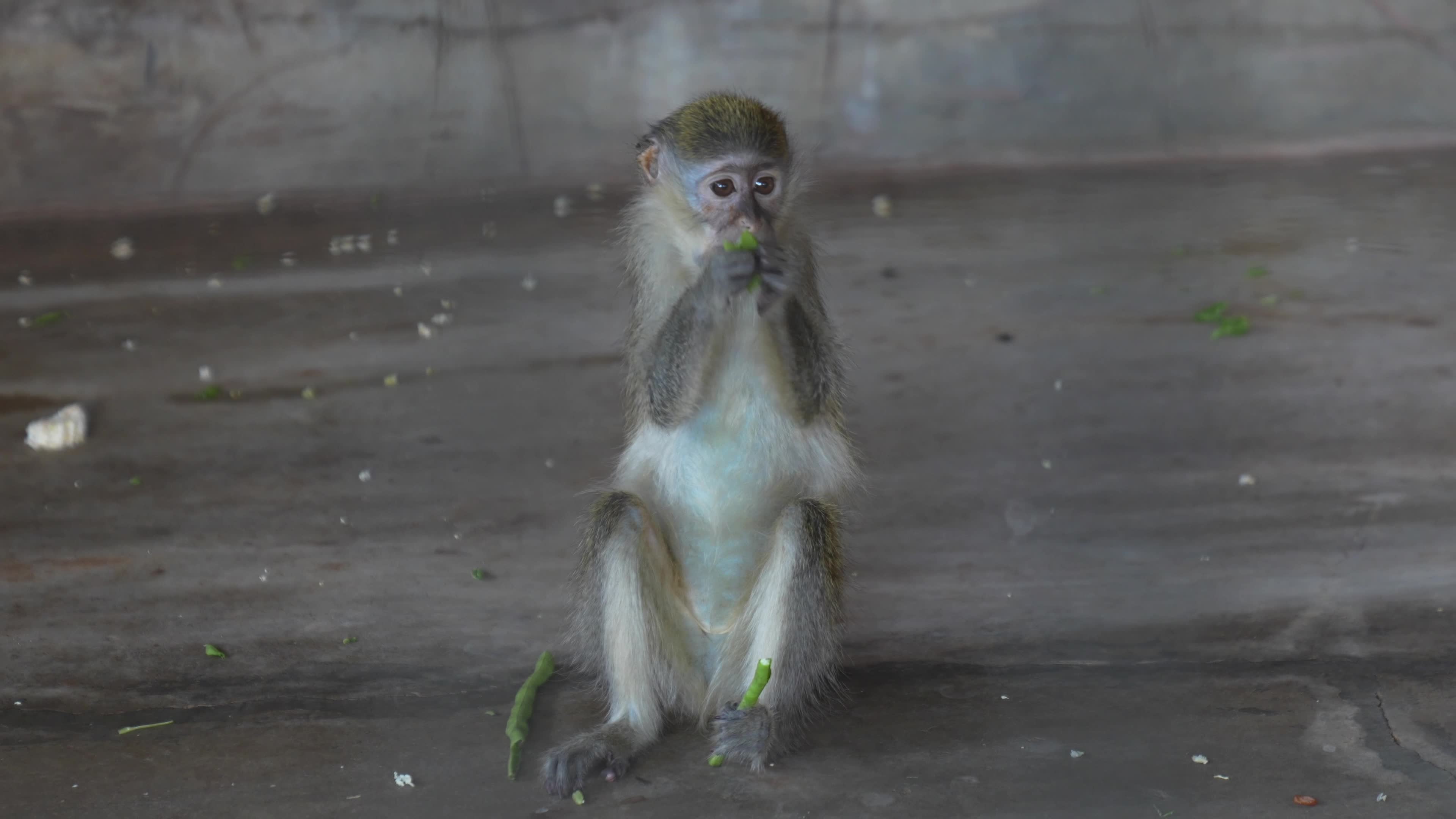 Zoo in Bangkok