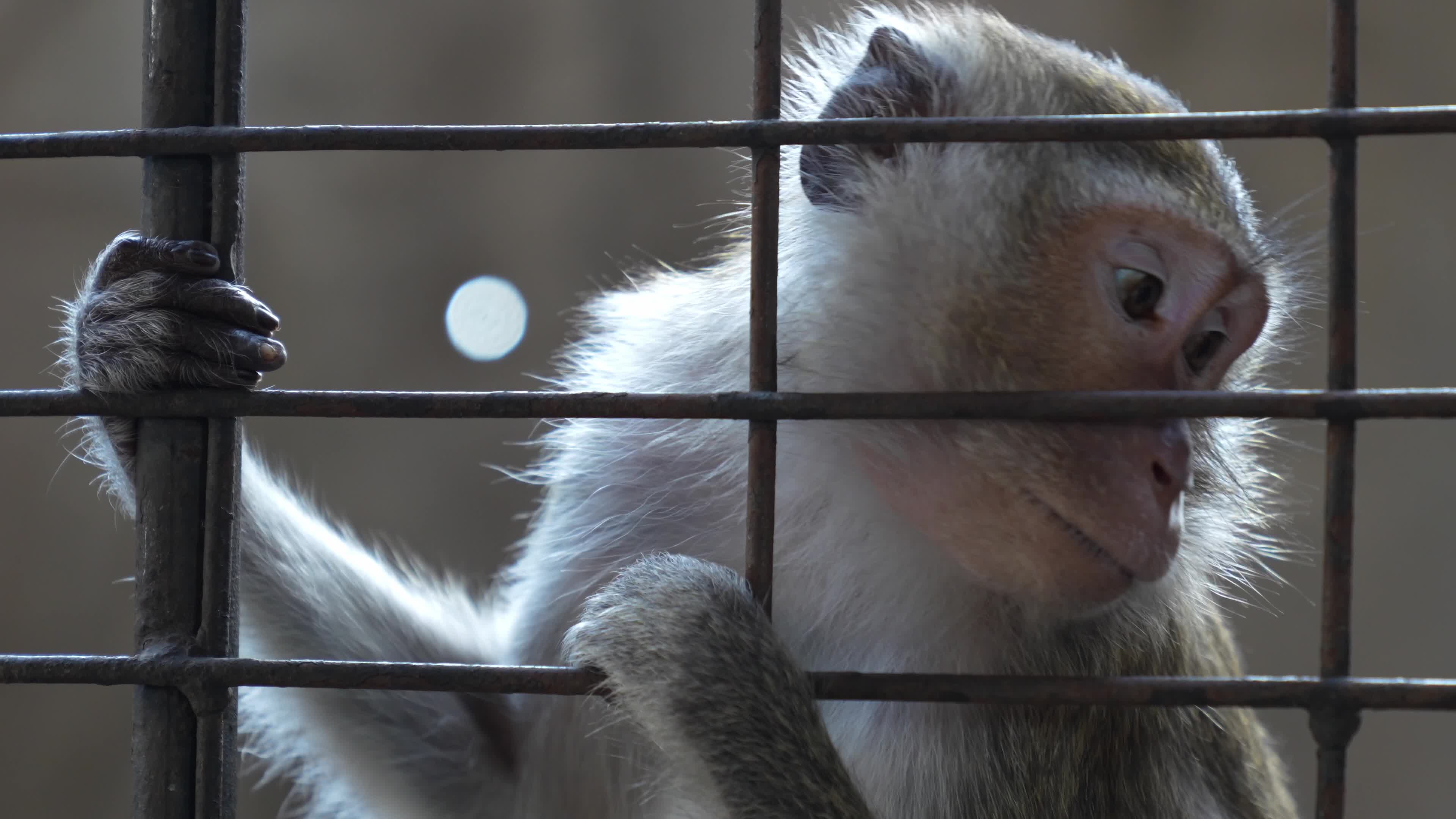 Zoo in Bangkok