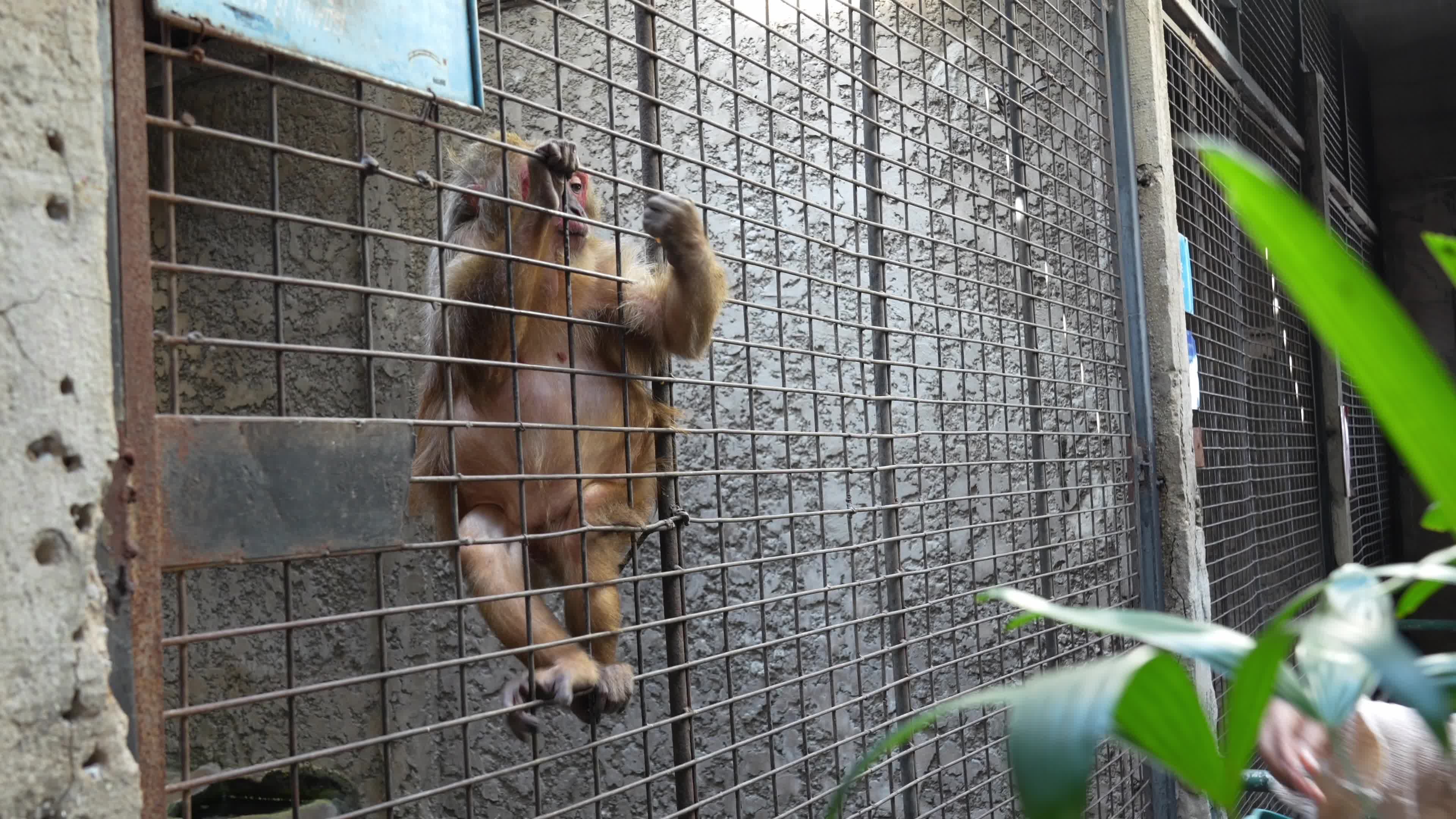 Zoo in Bangkok