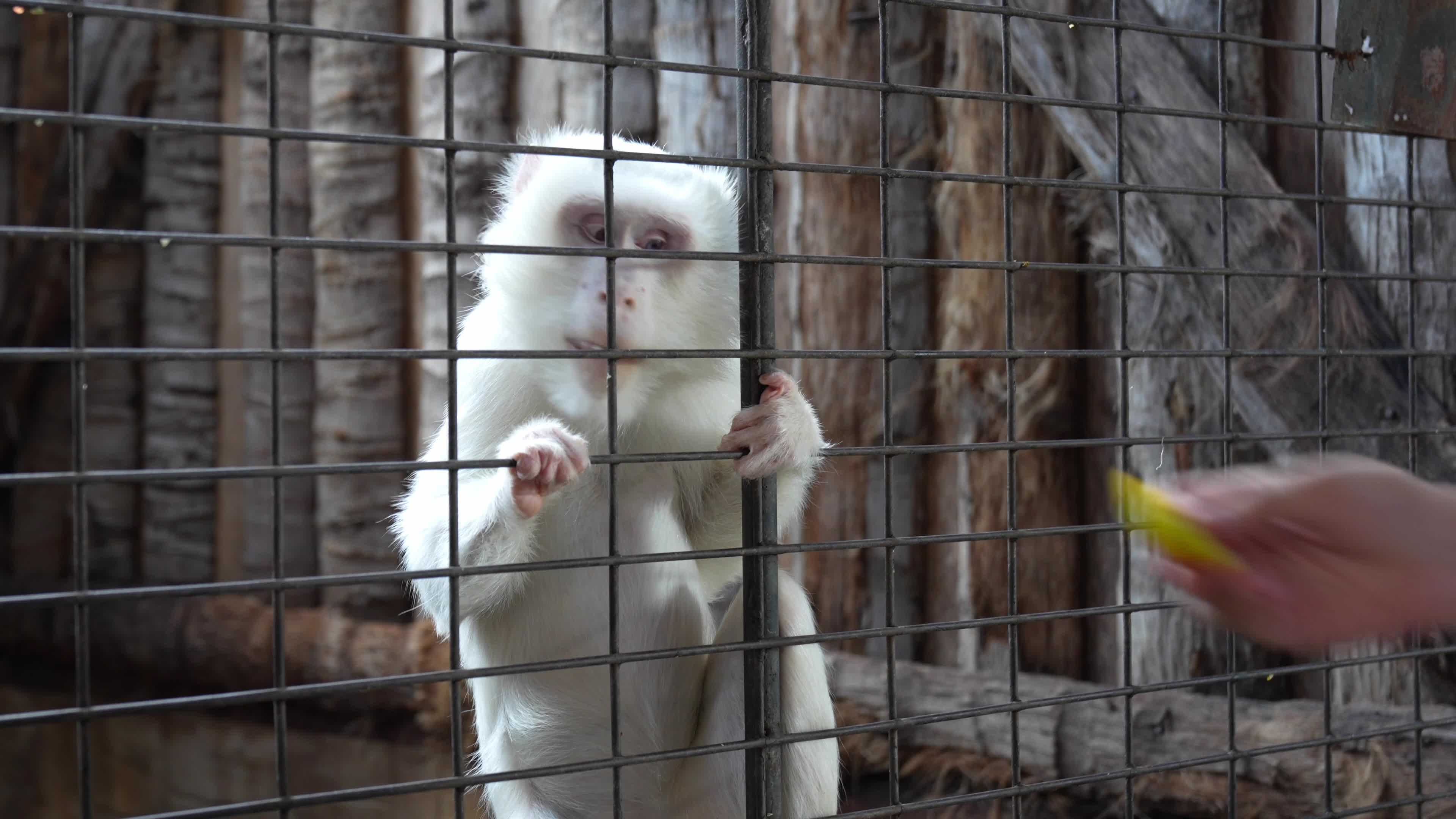 Zoo in Bangkok