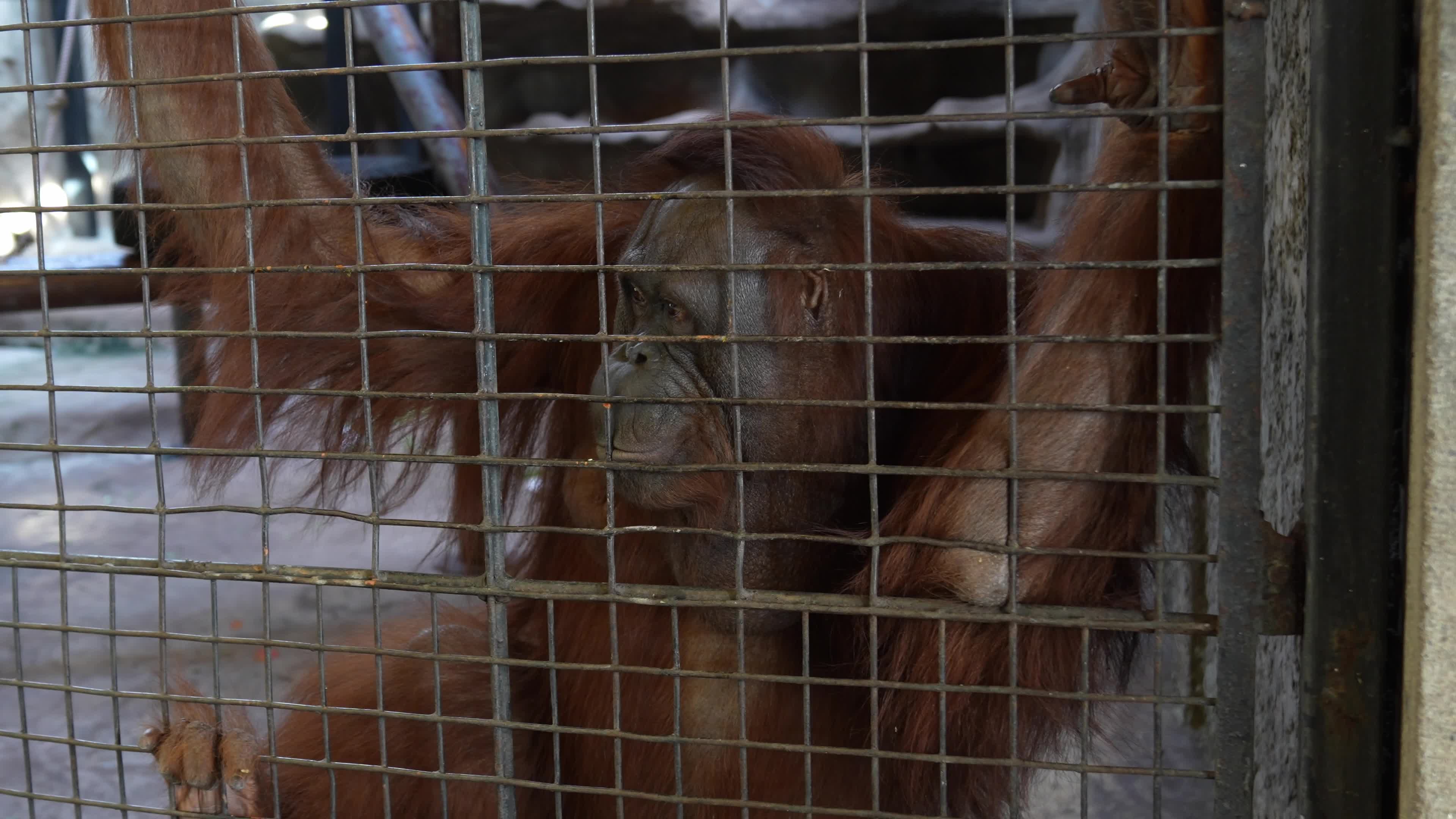 Zoo in Bangkok