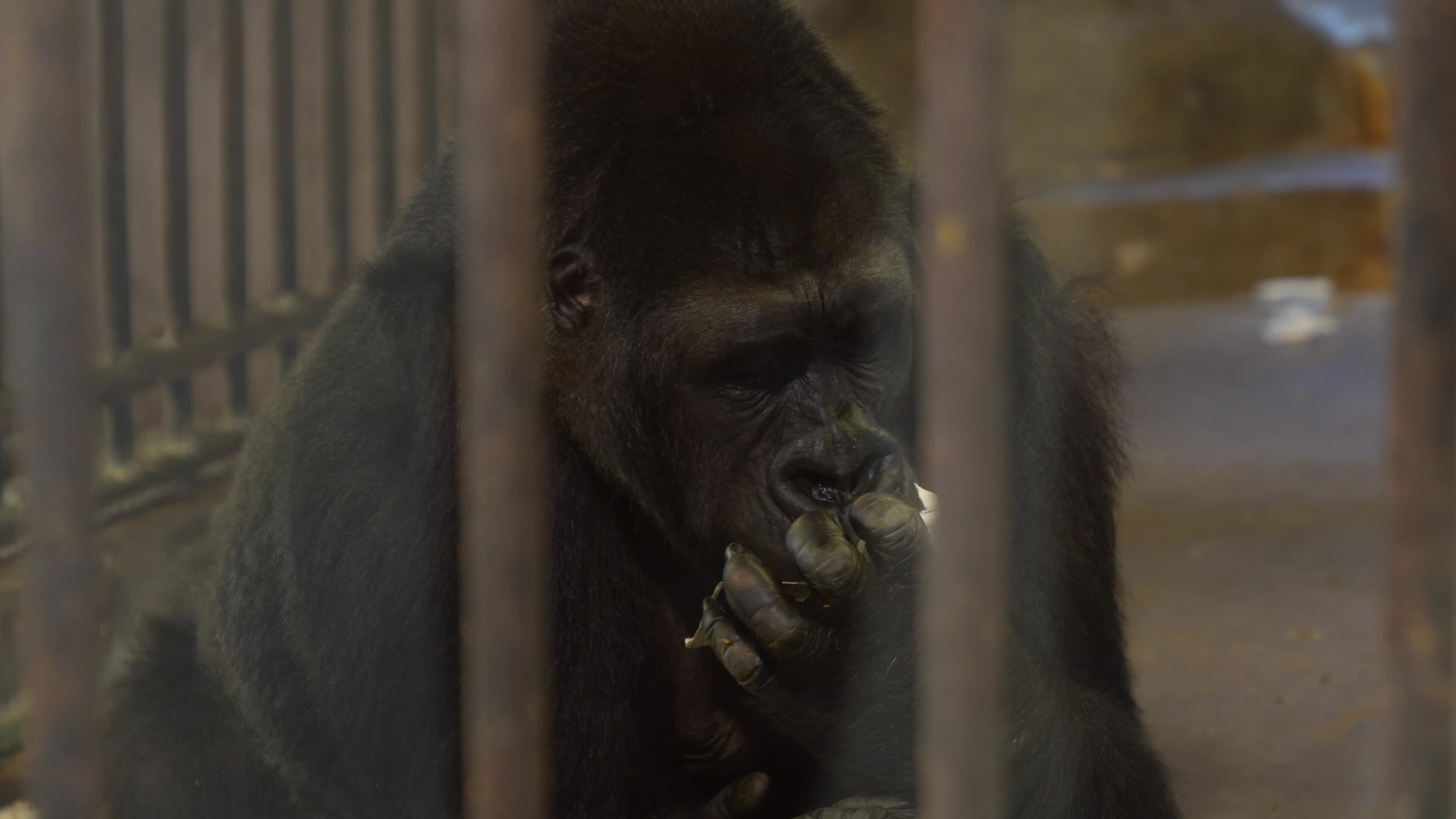 Zoo in Bangkok