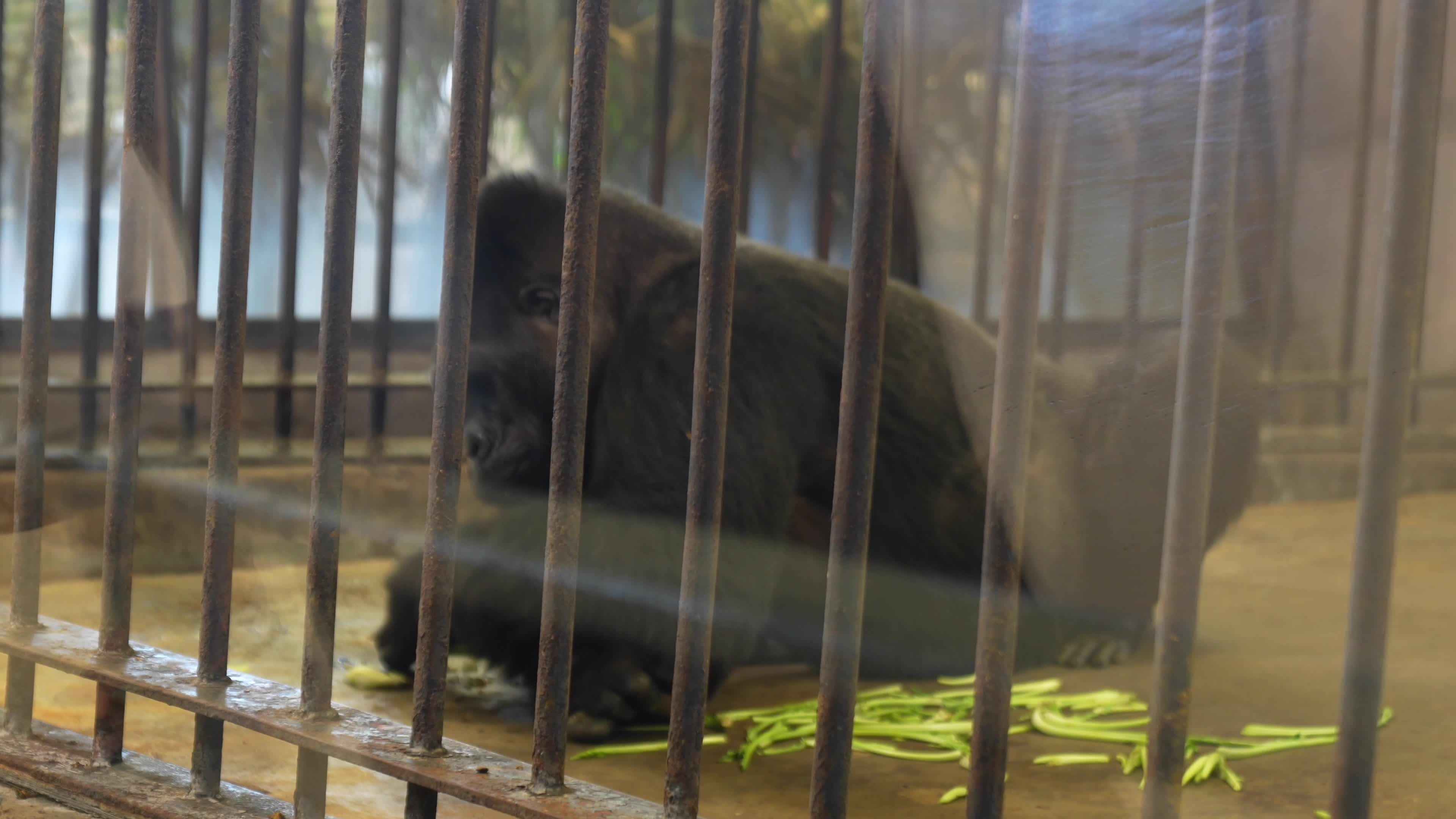 Zoo in Bangkok