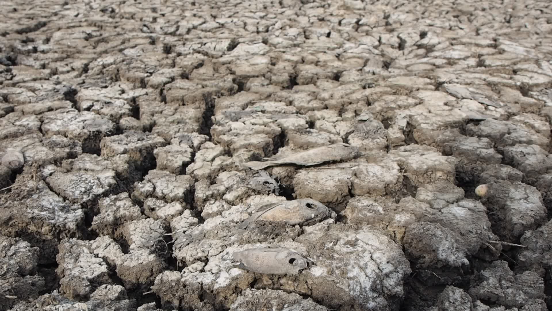 El Nino Phenomenon Causes Drought in Tangerang