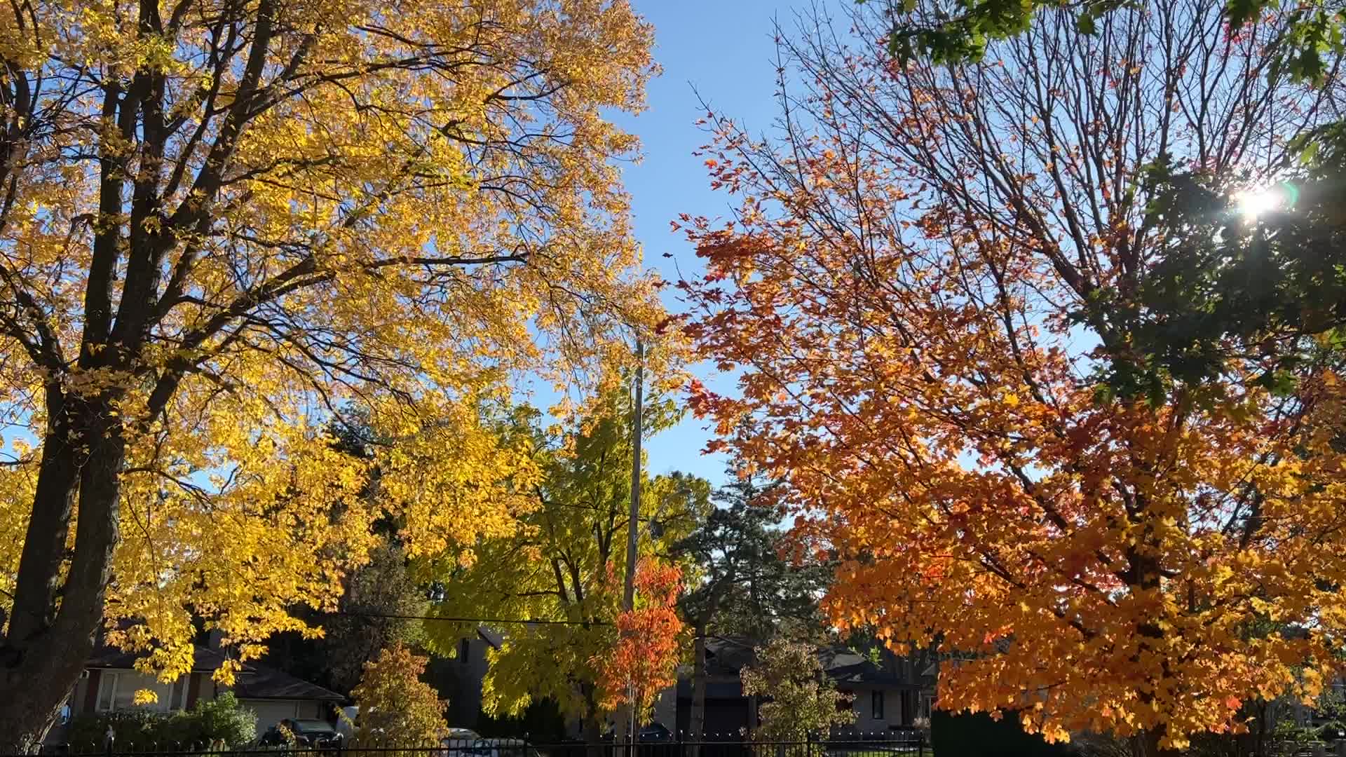 Autumn season in Toronto