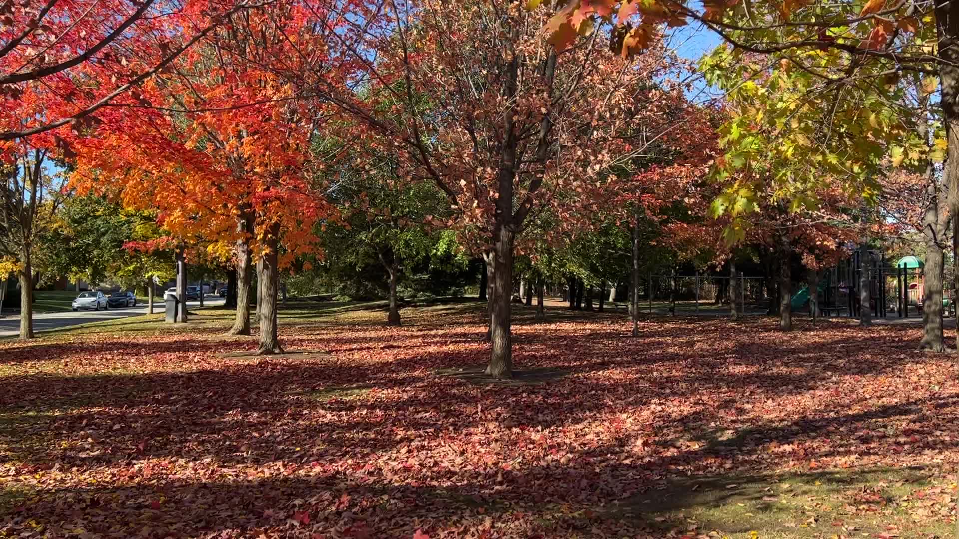 Autumn season in Toronto