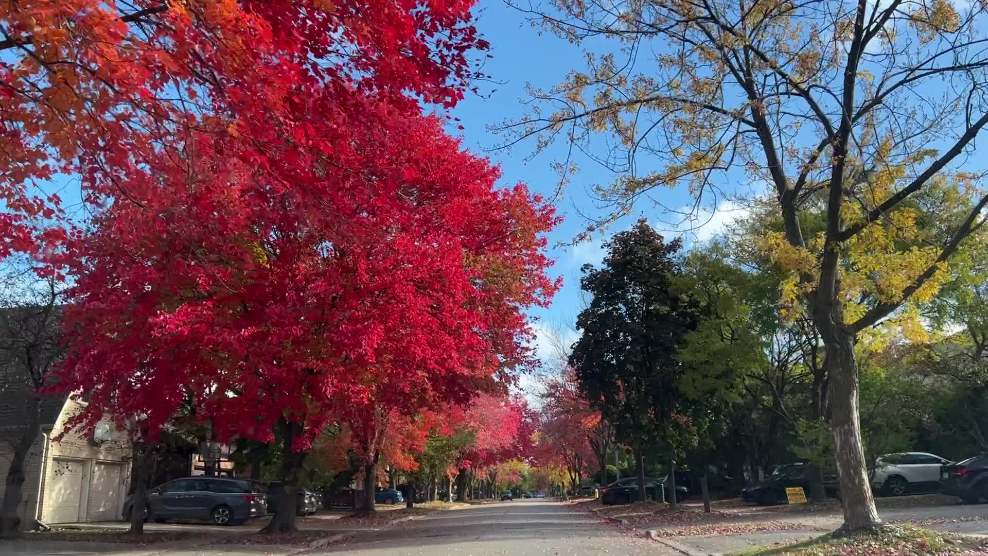 Autumn season in Toronto