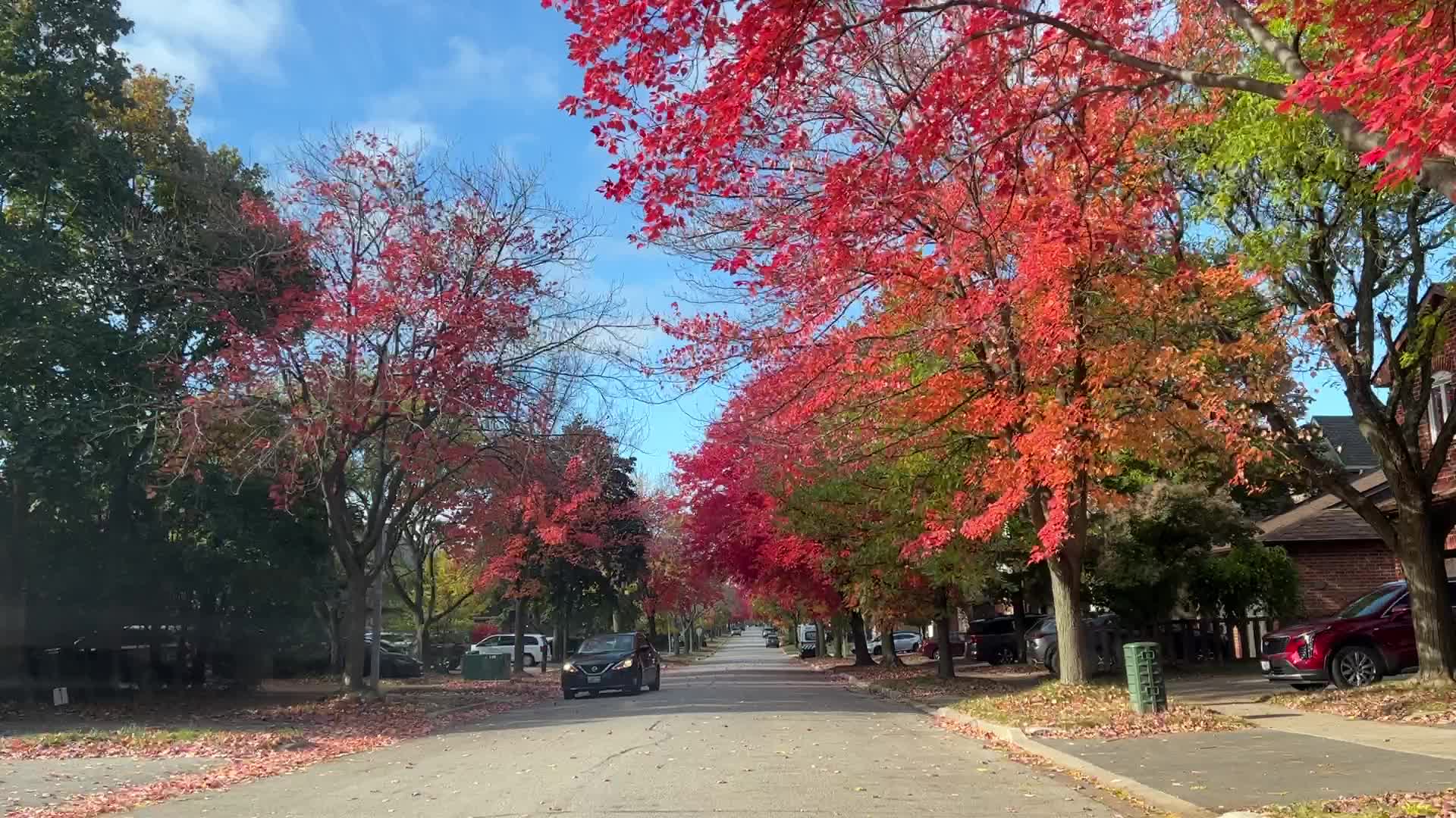 Autumn season in Toronto