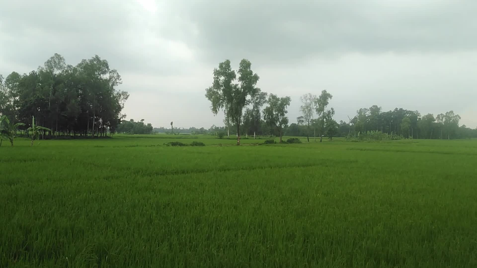 Weather in Bangladesh 