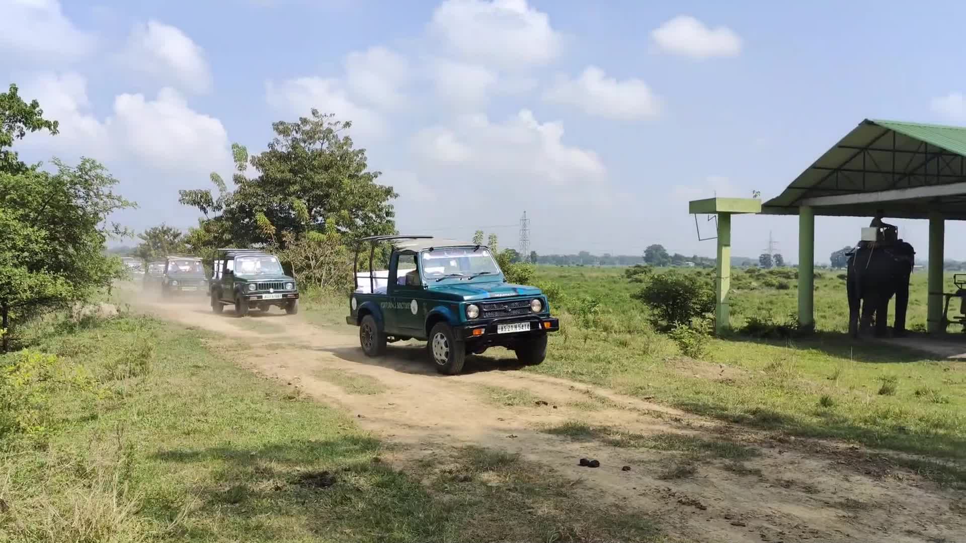 Pobitora Wildlife Sanctuary reopens for tourist season in India 