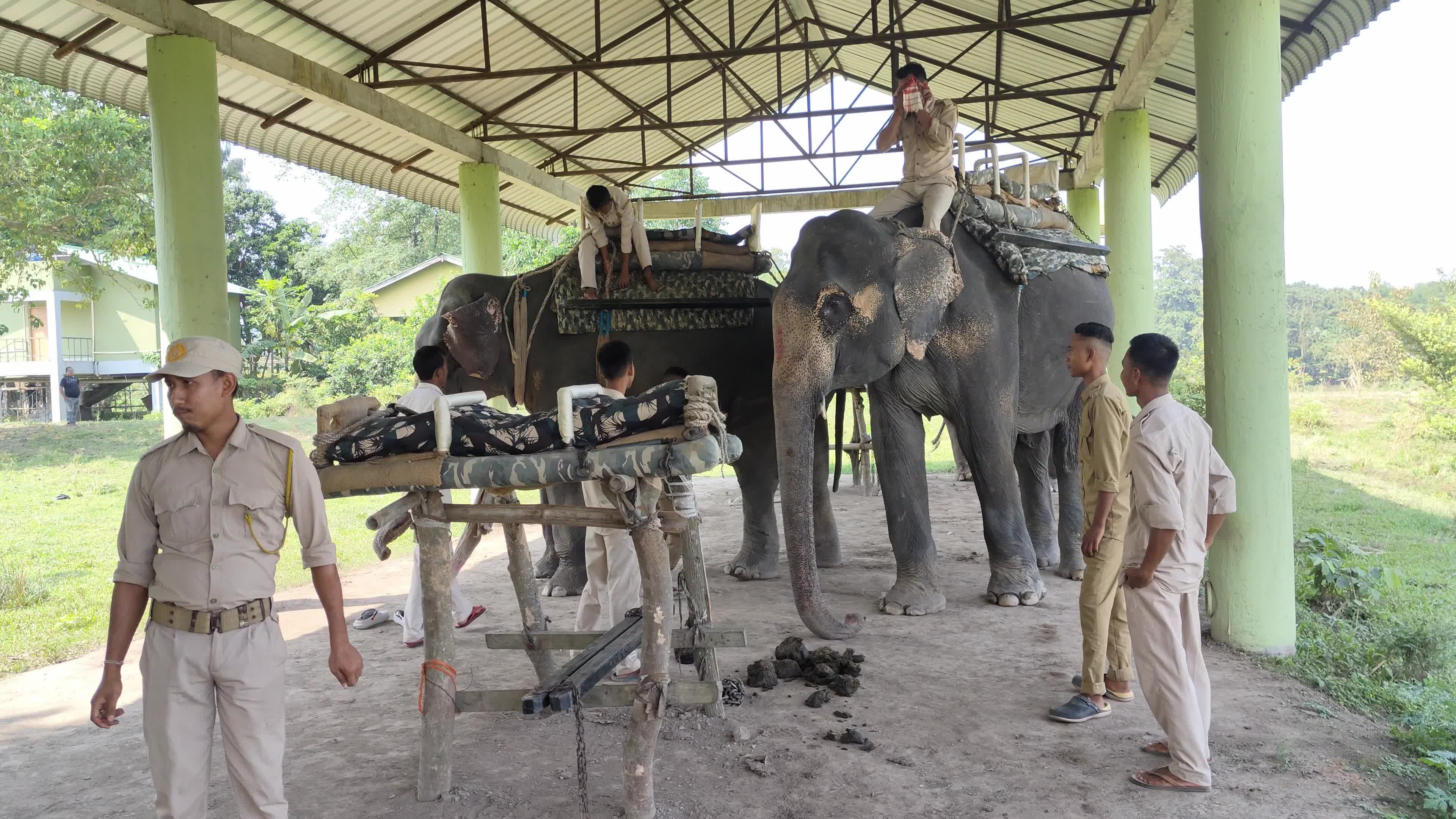 Assam’s Pobitora Wildlife Sanctuary reopens in India