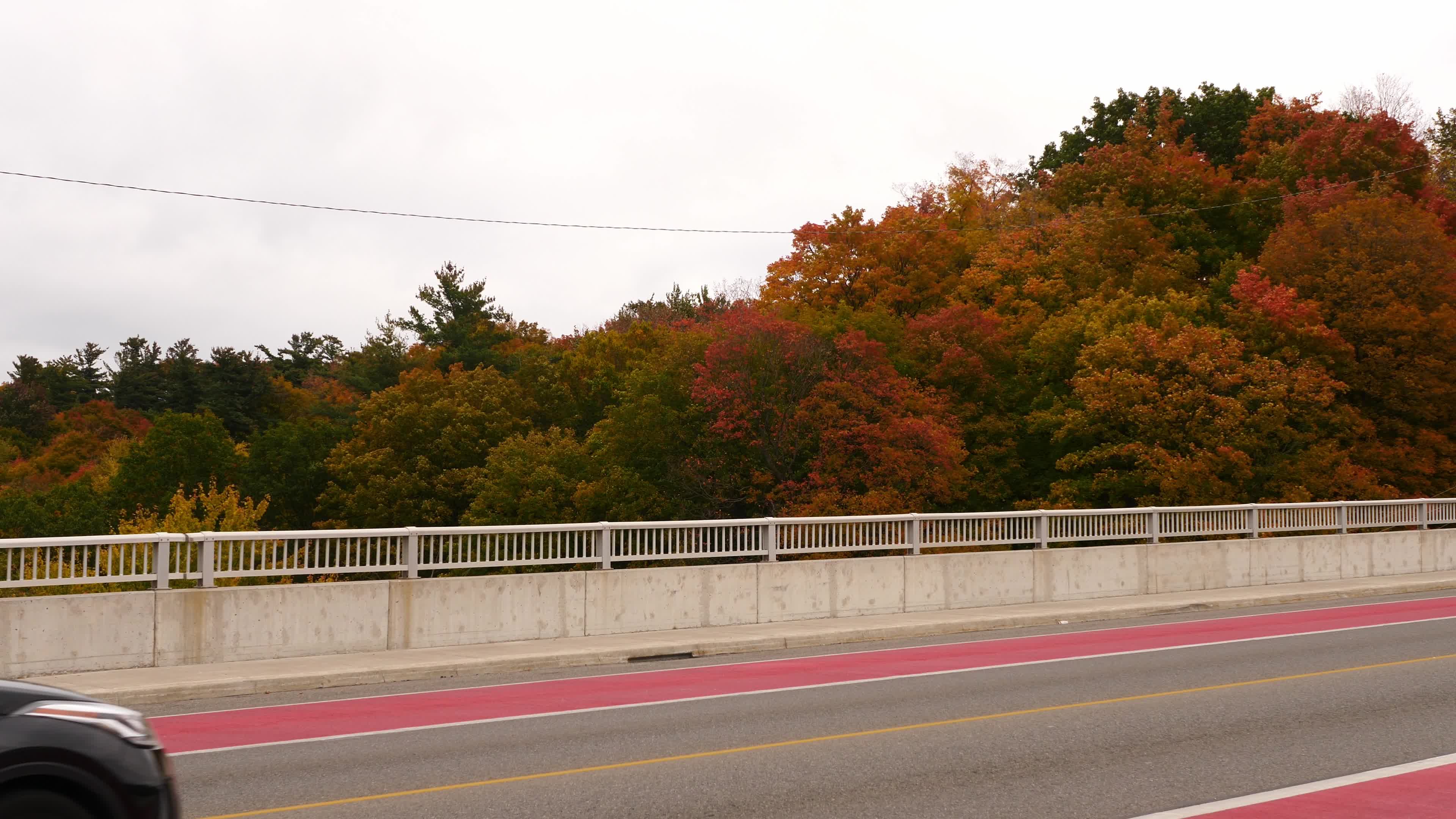 Autumn Season - Toronto, Canada