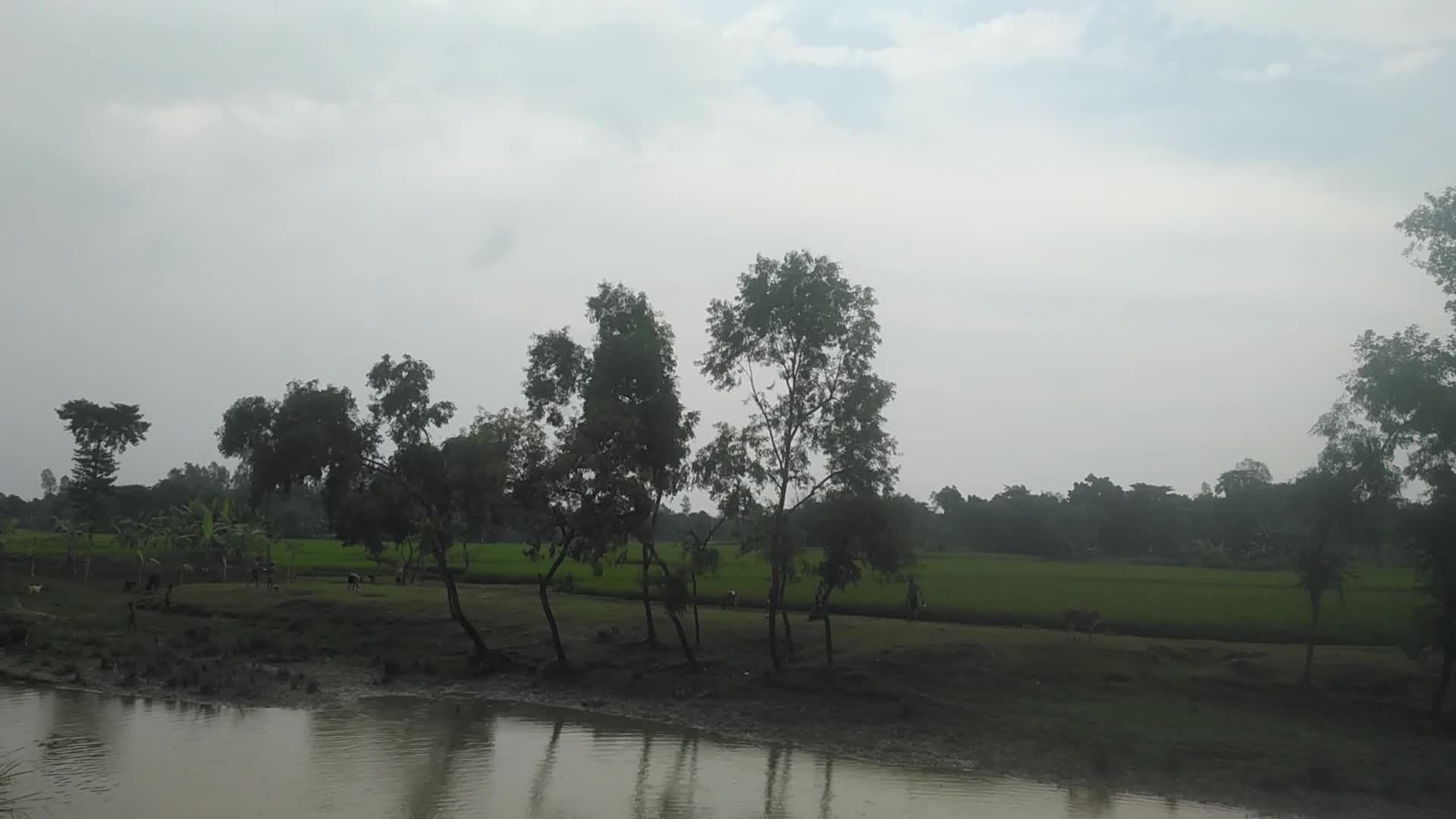 Daily Life in Naogaon, Bangladesh 