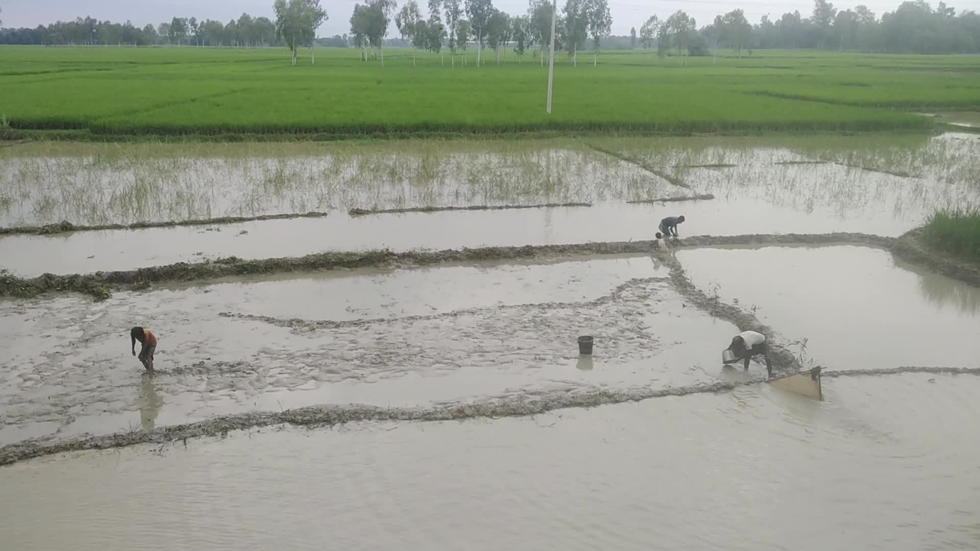 Daily Life in Naogaon, Bangladesh 