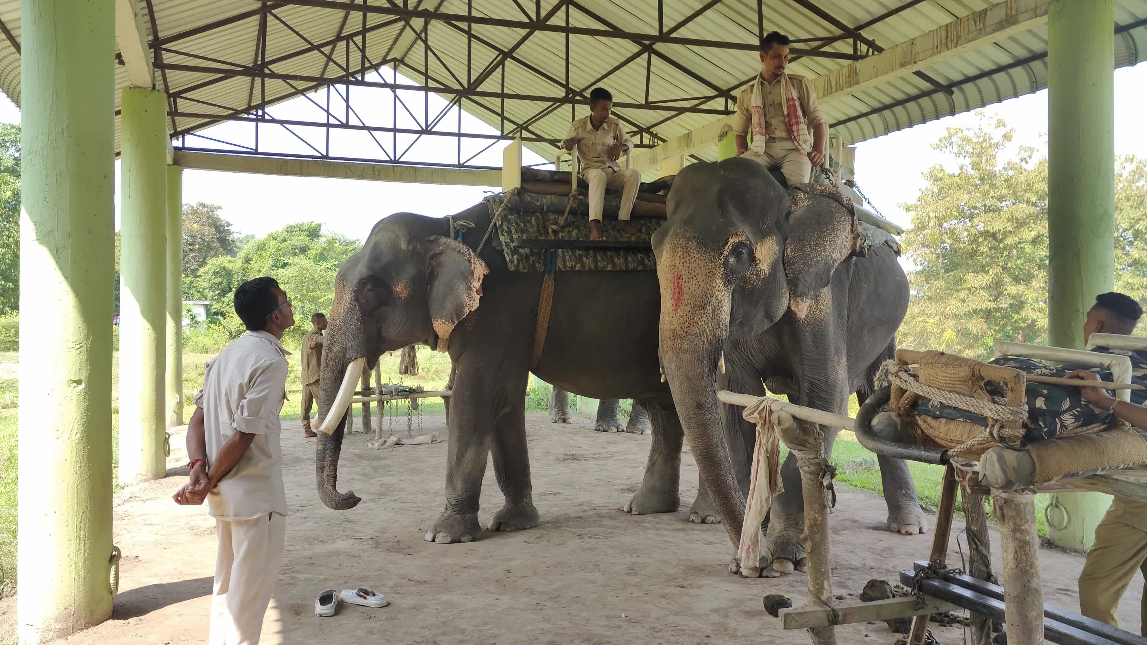Assam’s Pobitora Wildlife Sanctuary reopens in India