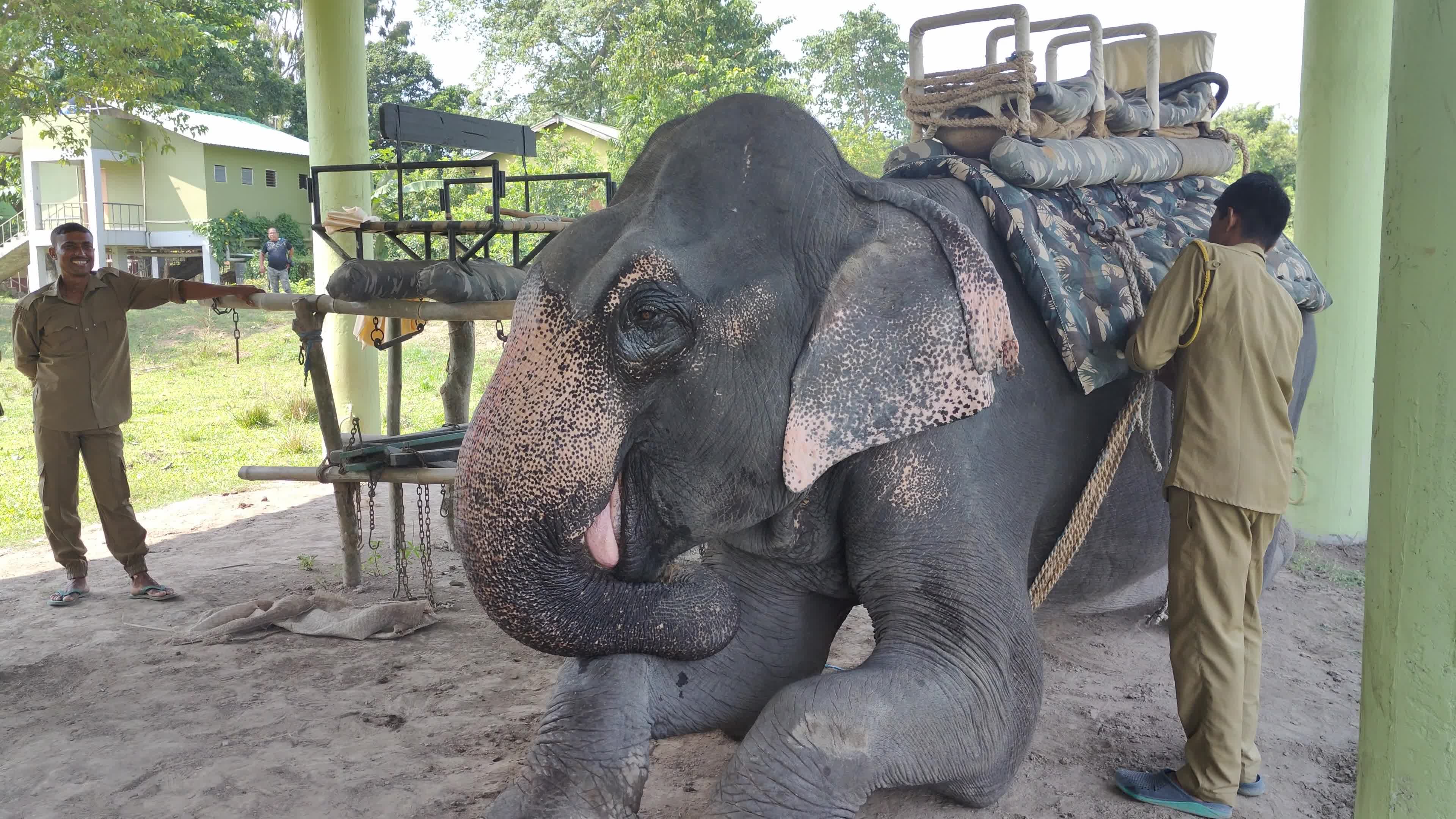 Assam’s Pobitora Wildlife Sanctuary reopens in India