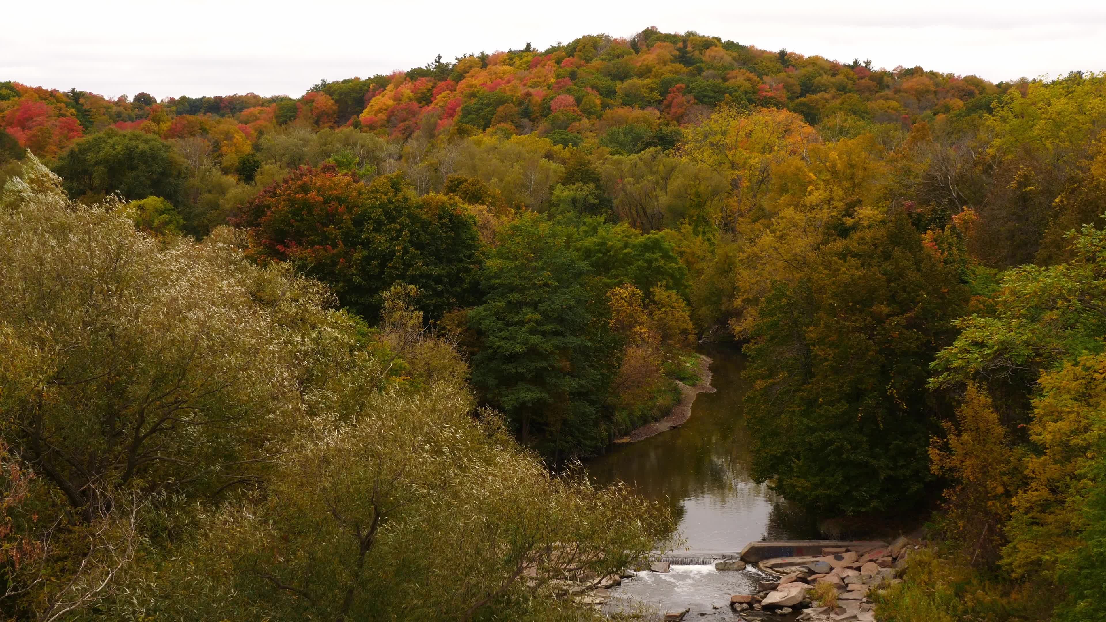 Autumn Season - Toronto, Canada