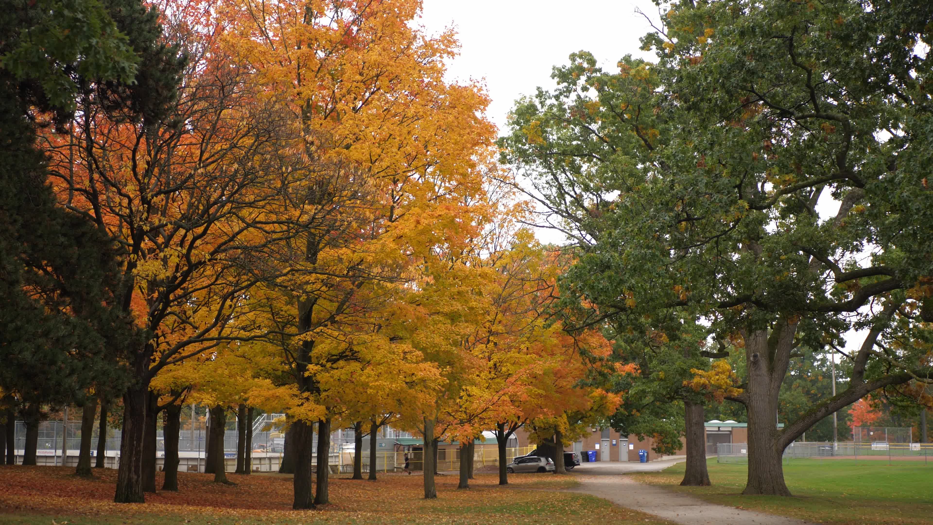 Autumn Season - Toronto, Canada