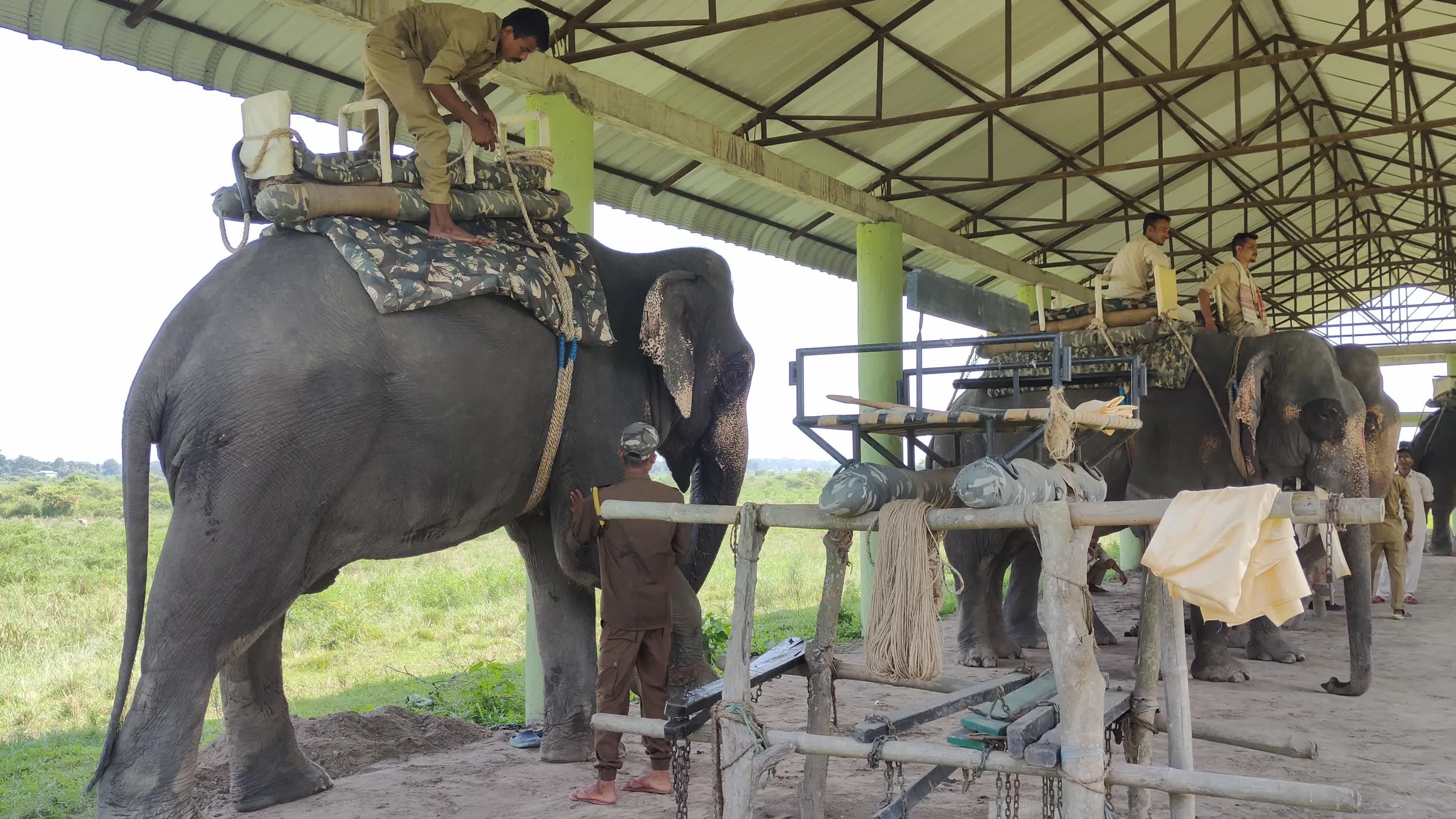 Assam’s Pobitora Wildlife Sanctuary reopens in India