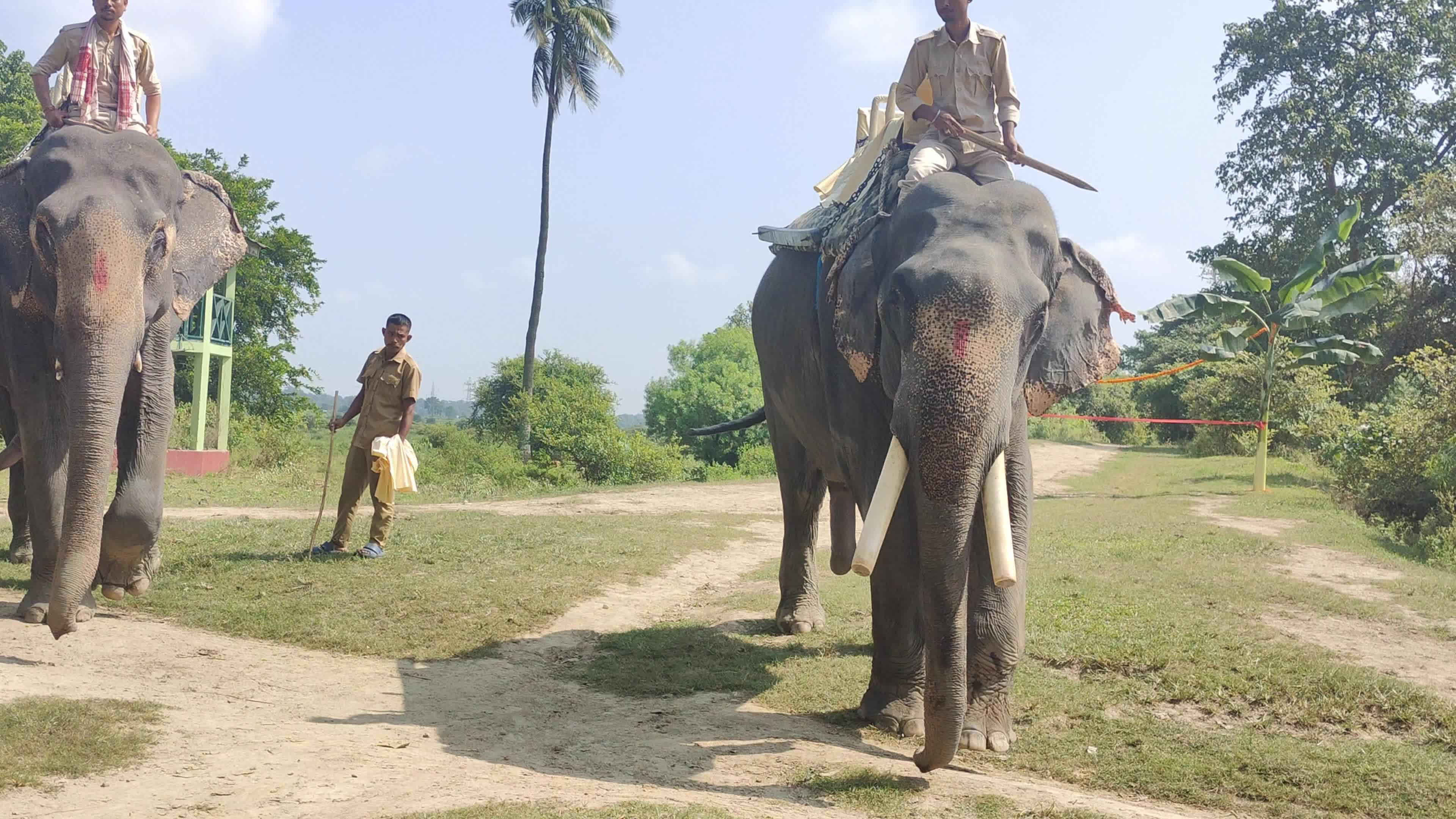 Assam’s Pobitora Wildlife Sanctuary reopens in India