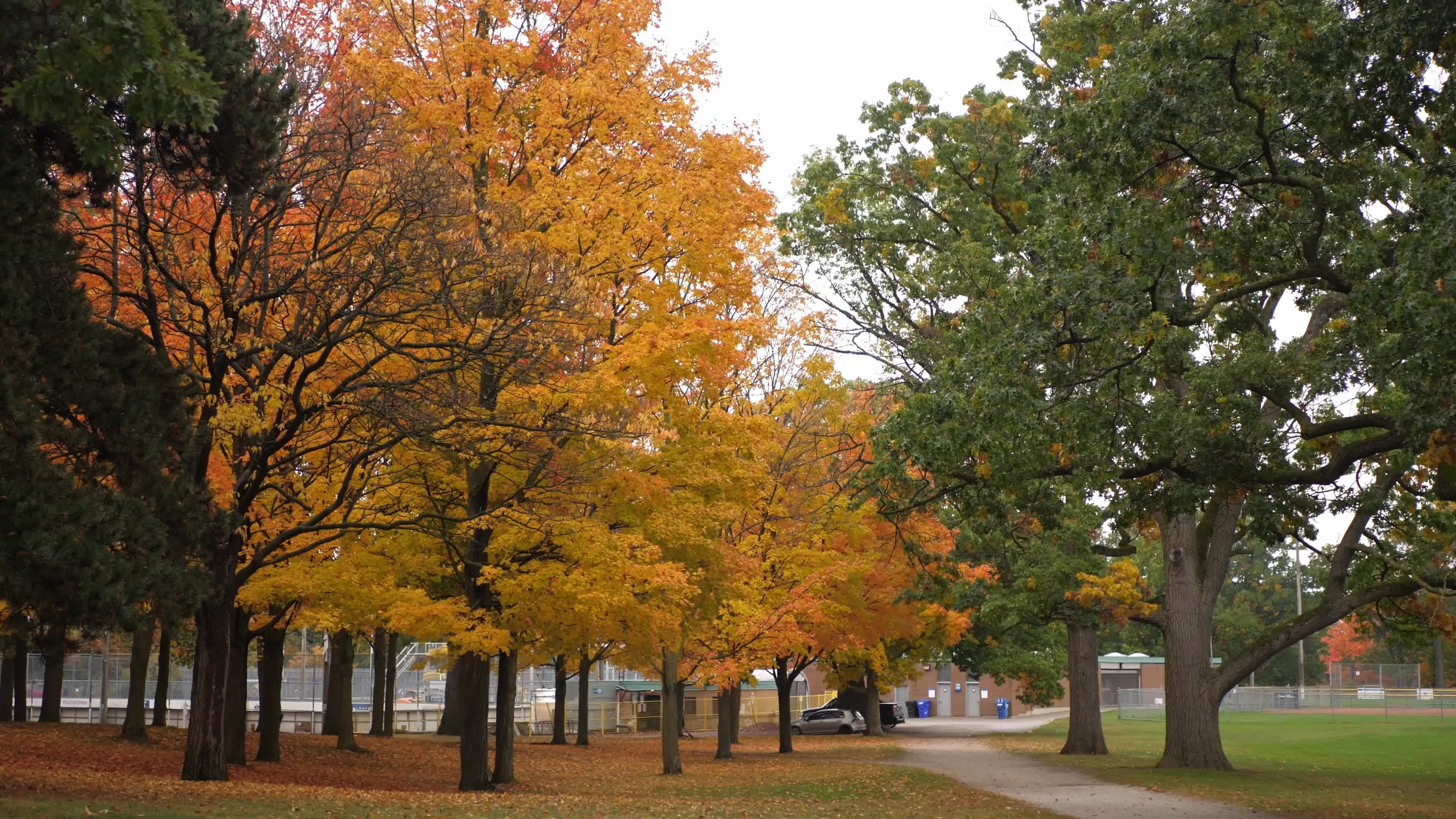 Autumn Season - Toronto, Canada
