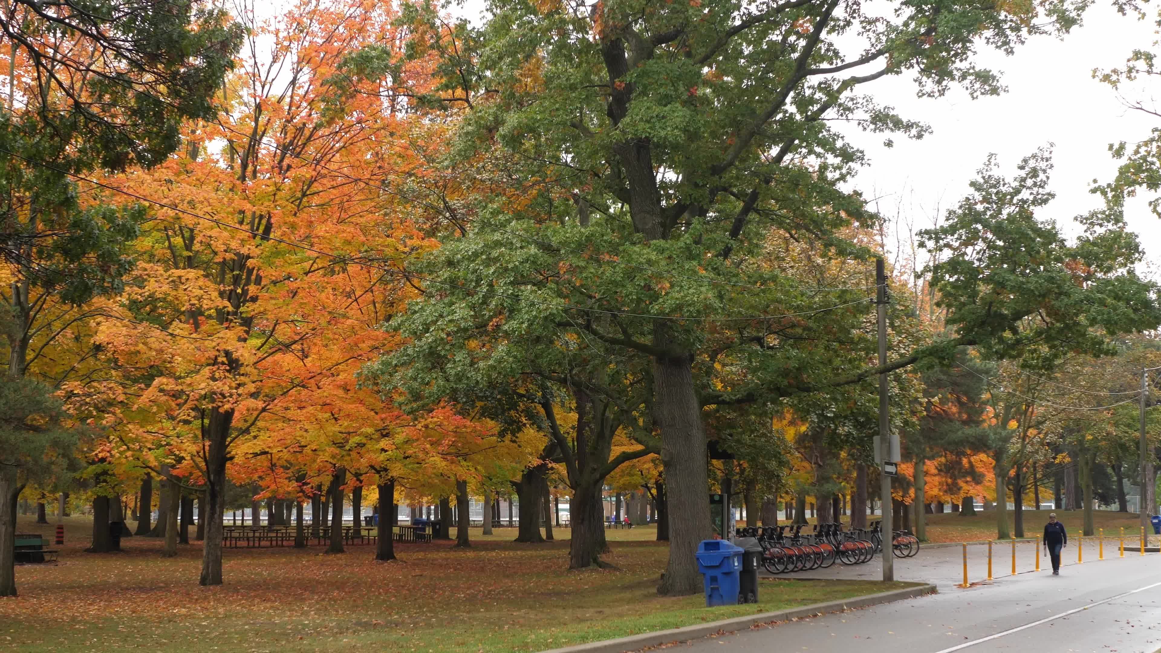 Autumn Season - Toronto, Canada