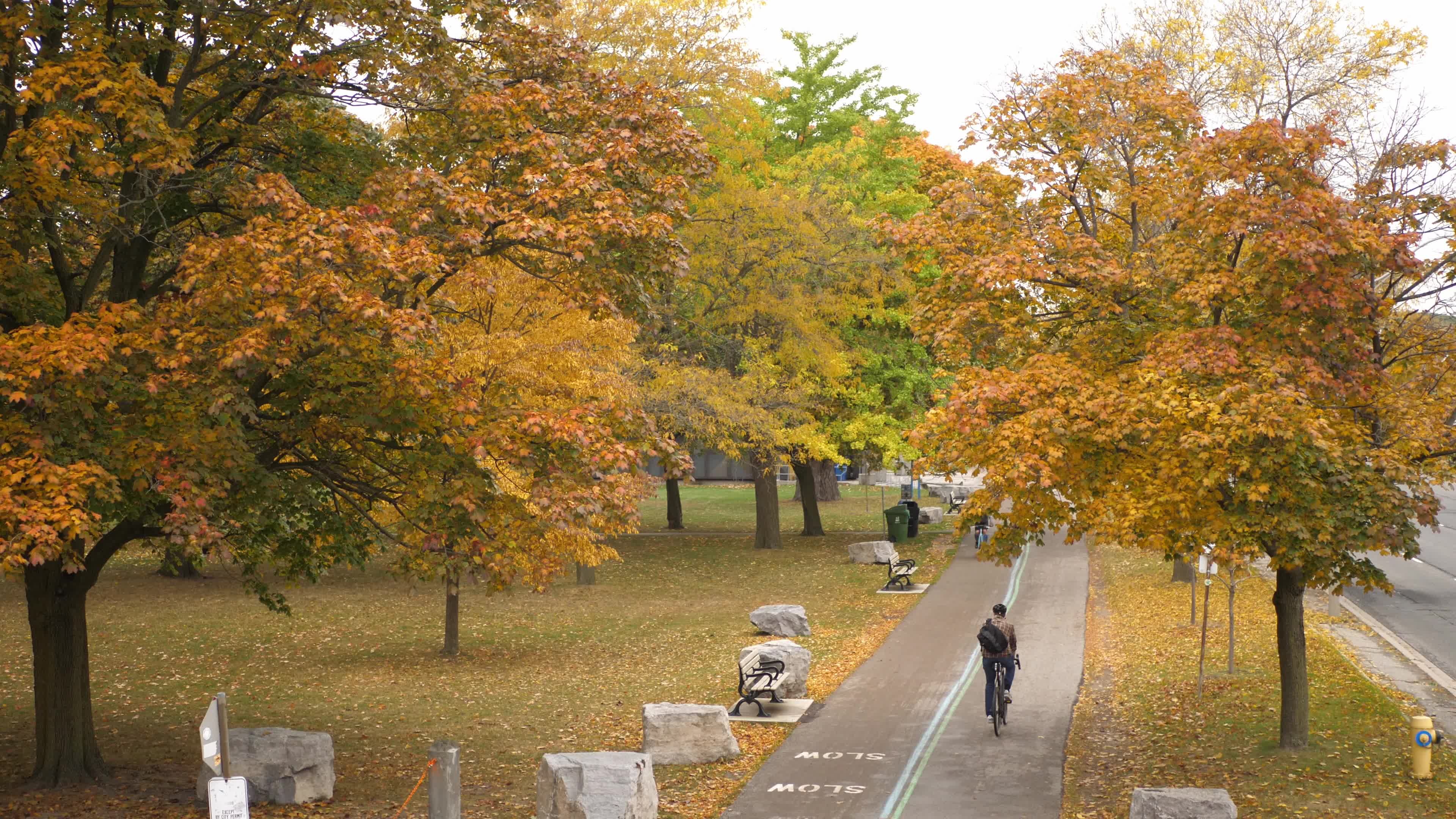 Autumn Season - Toronto, Canada