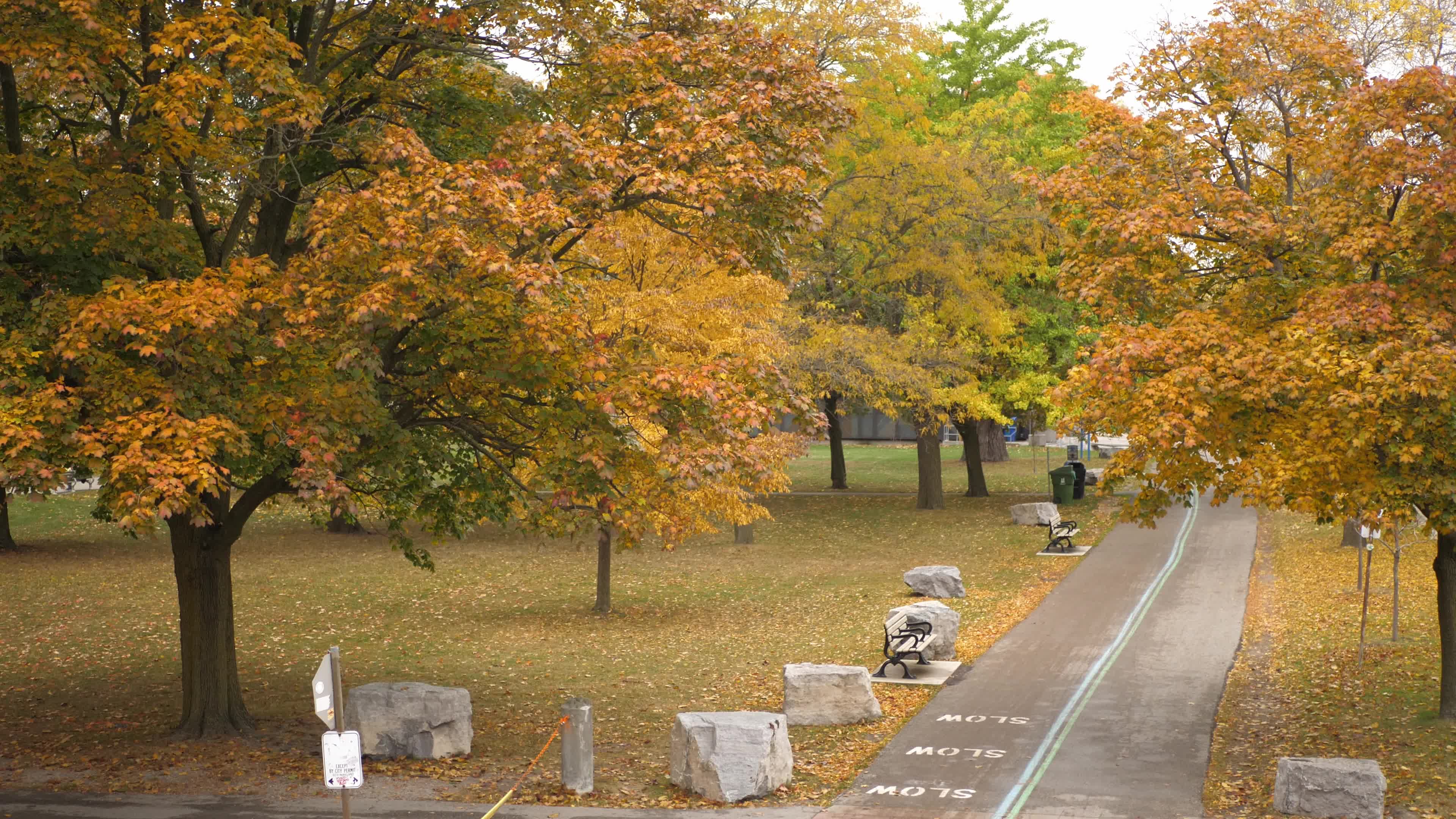 Autumn Season - Toronto, Canada