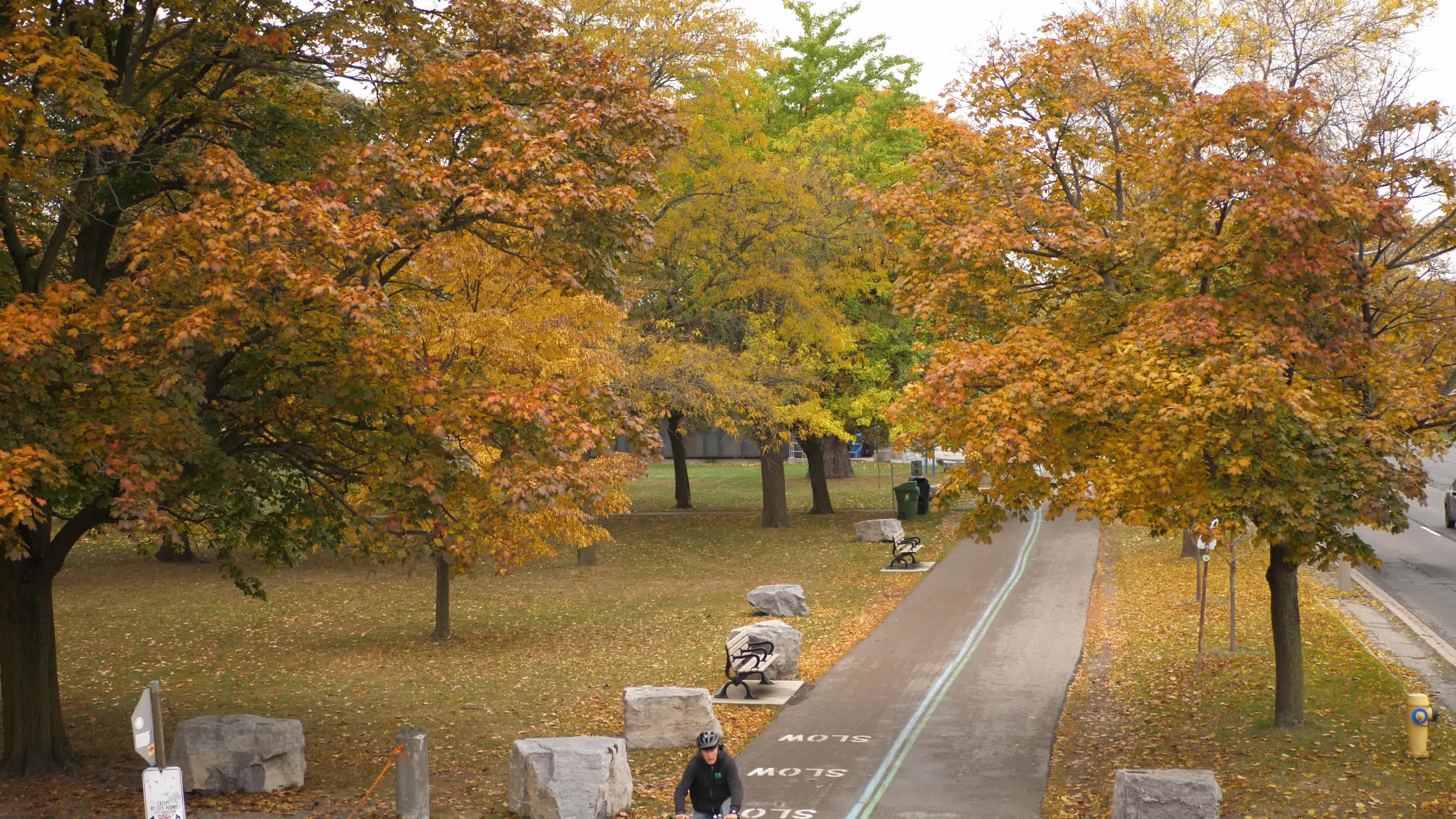 Autumn Season - Toronto, Canada