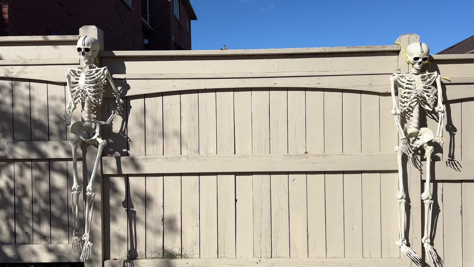 Houses decorated for Halloween in Canada