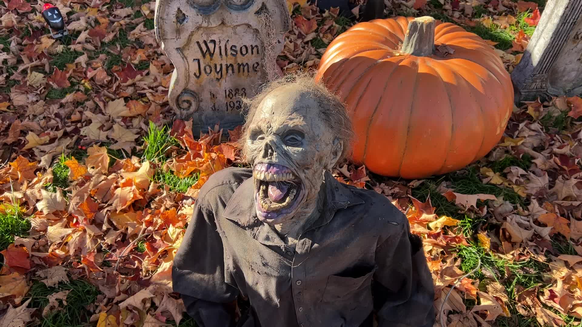Houses decorated for Halloween in Canada