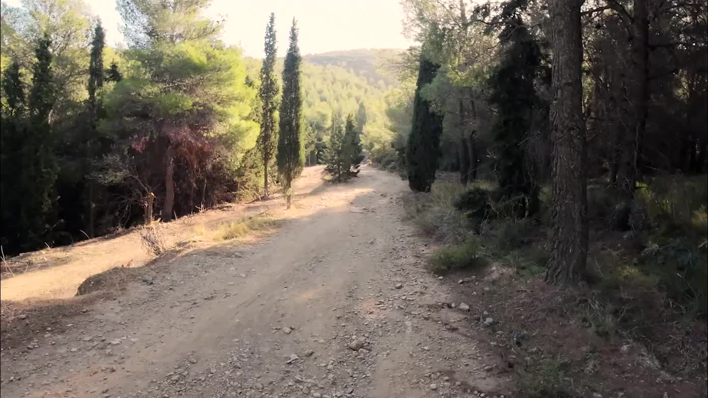 Mountain Hymettus In Athens