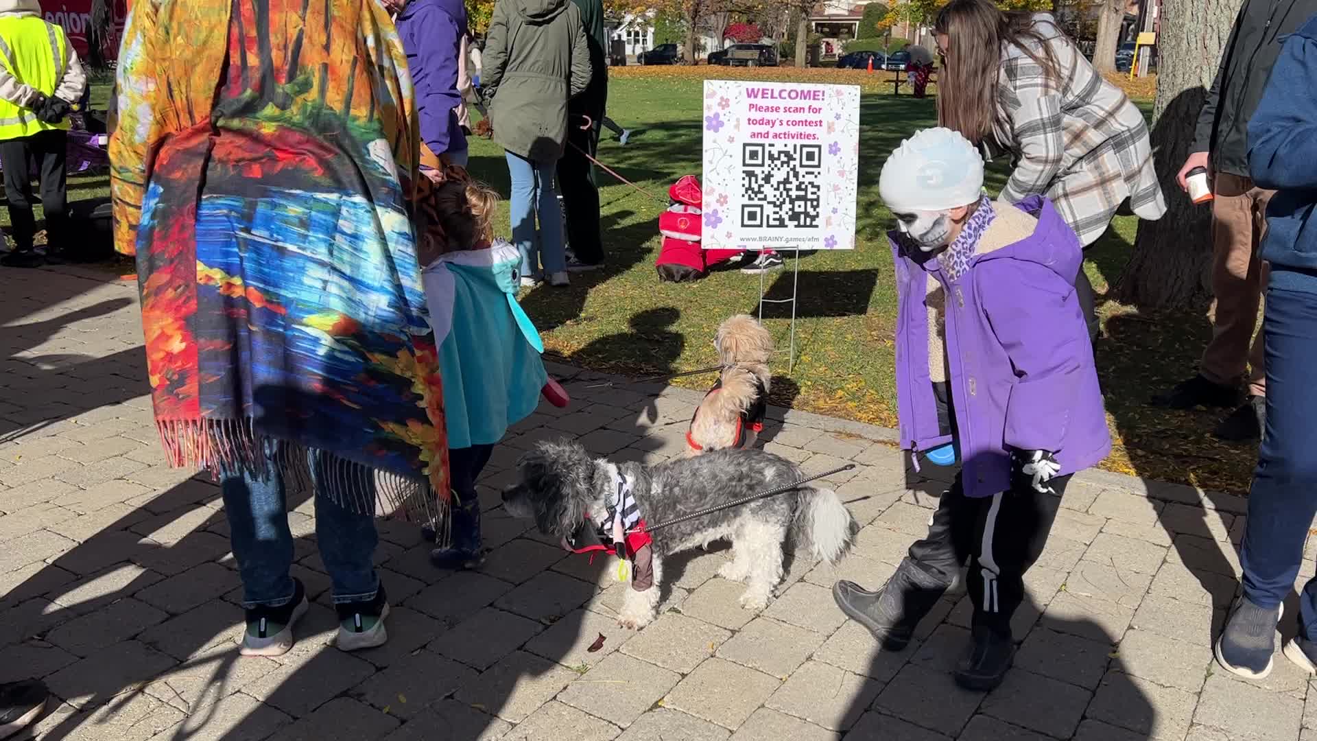 Halloween dog costume parade in Aurora