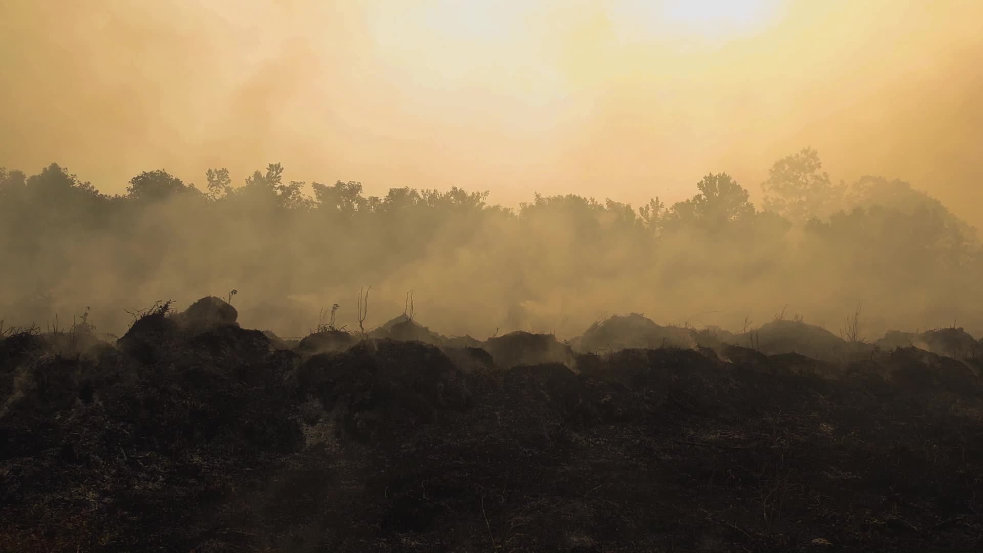 Riau Attempt To Extinguish Forest Fires