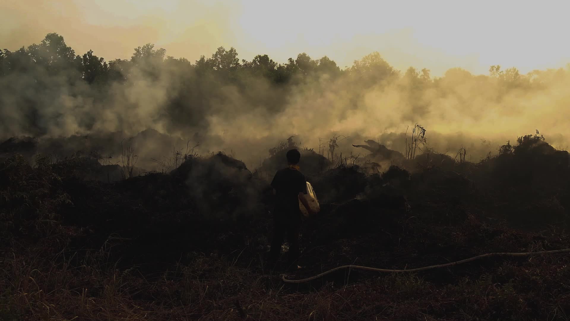 Riau Attempt To Extinguish Forest Fires