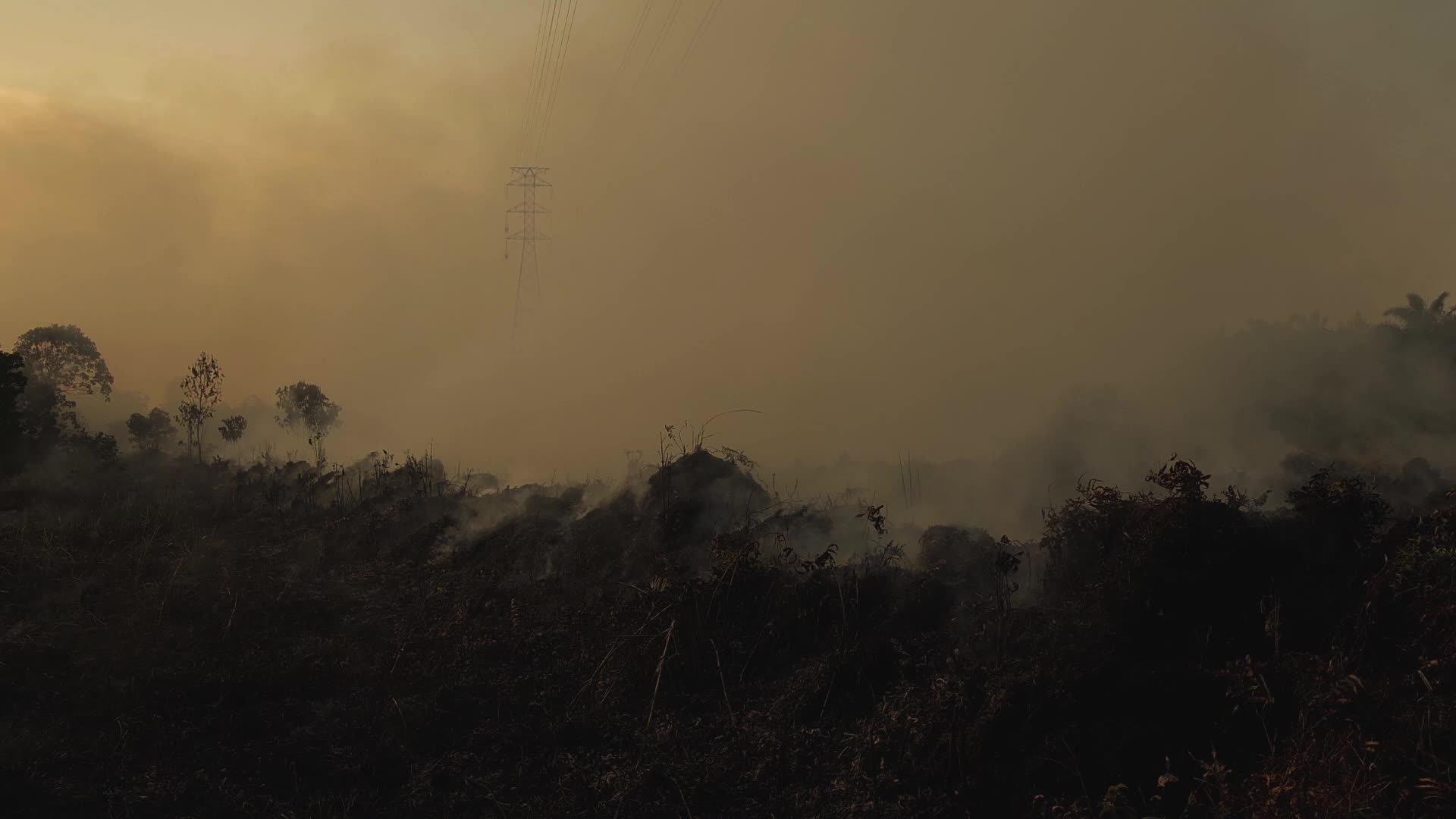 Riau Attempt To Extinguish Forest Fires