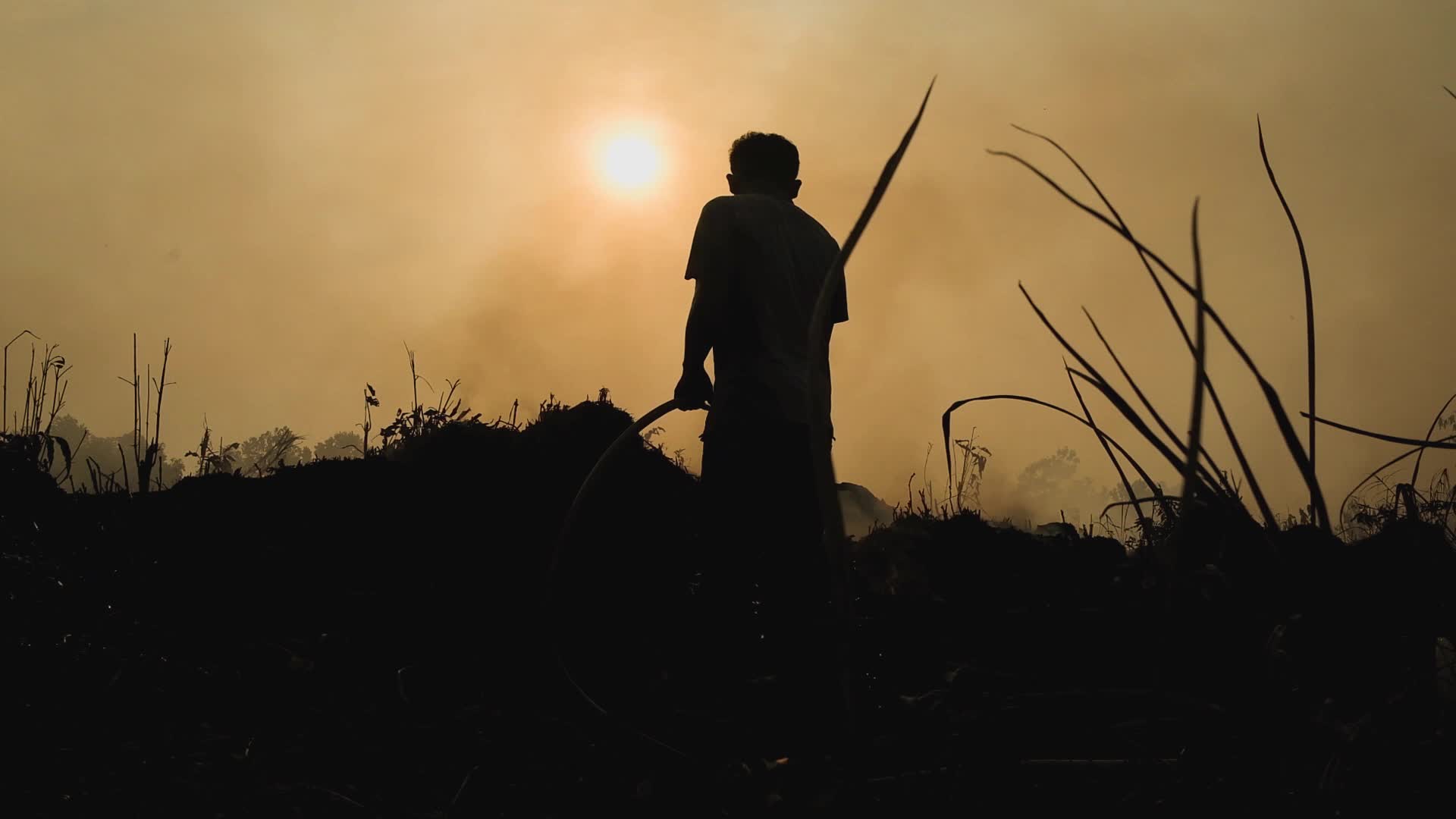 Riau Attempt To Extinguish Forest Fires