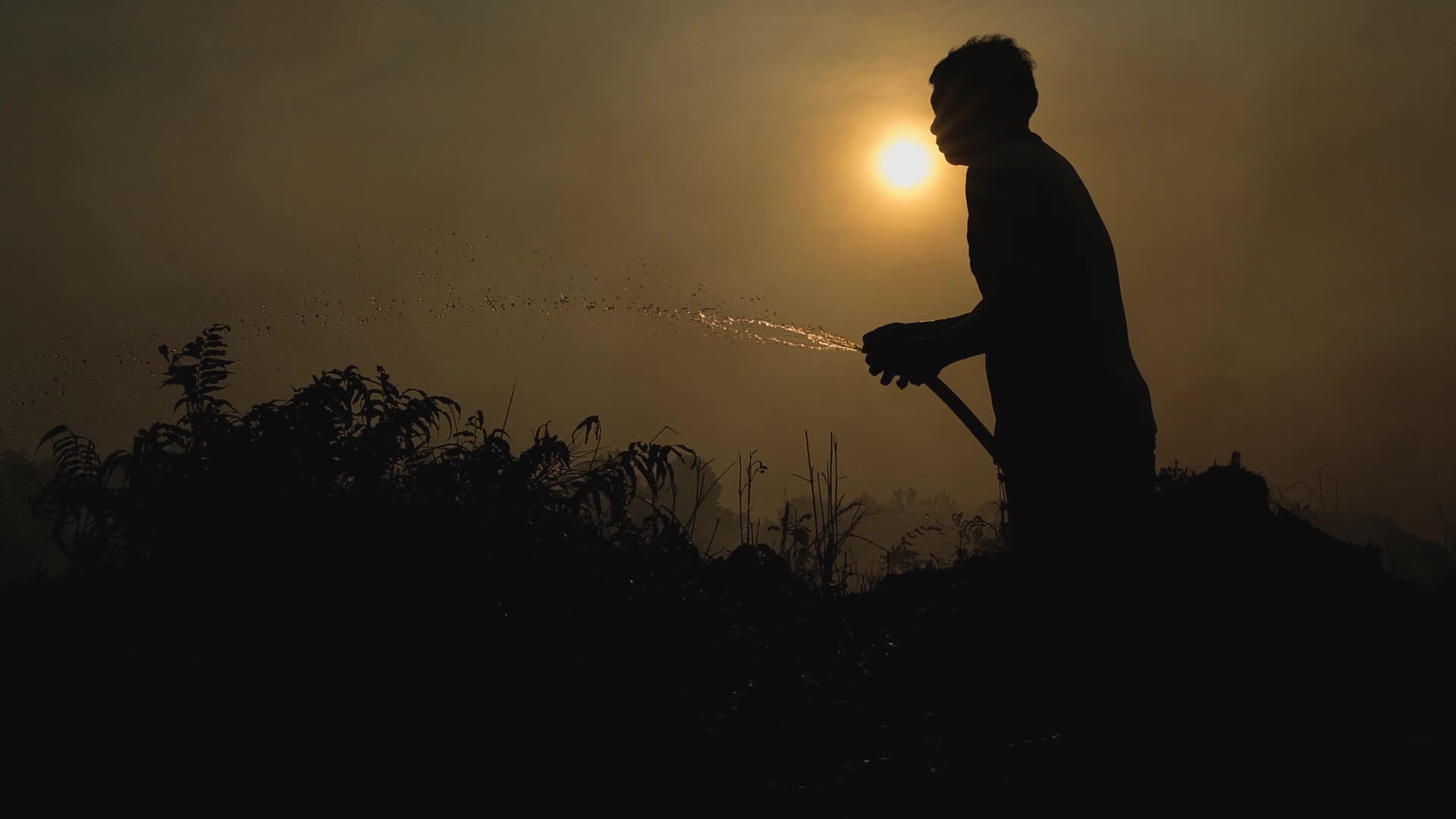 Riau Attempt To Extinguish Forest Fires