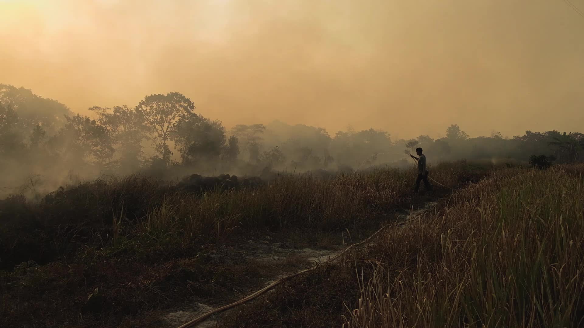 Riau Attempt To Extinguish Forest Fires