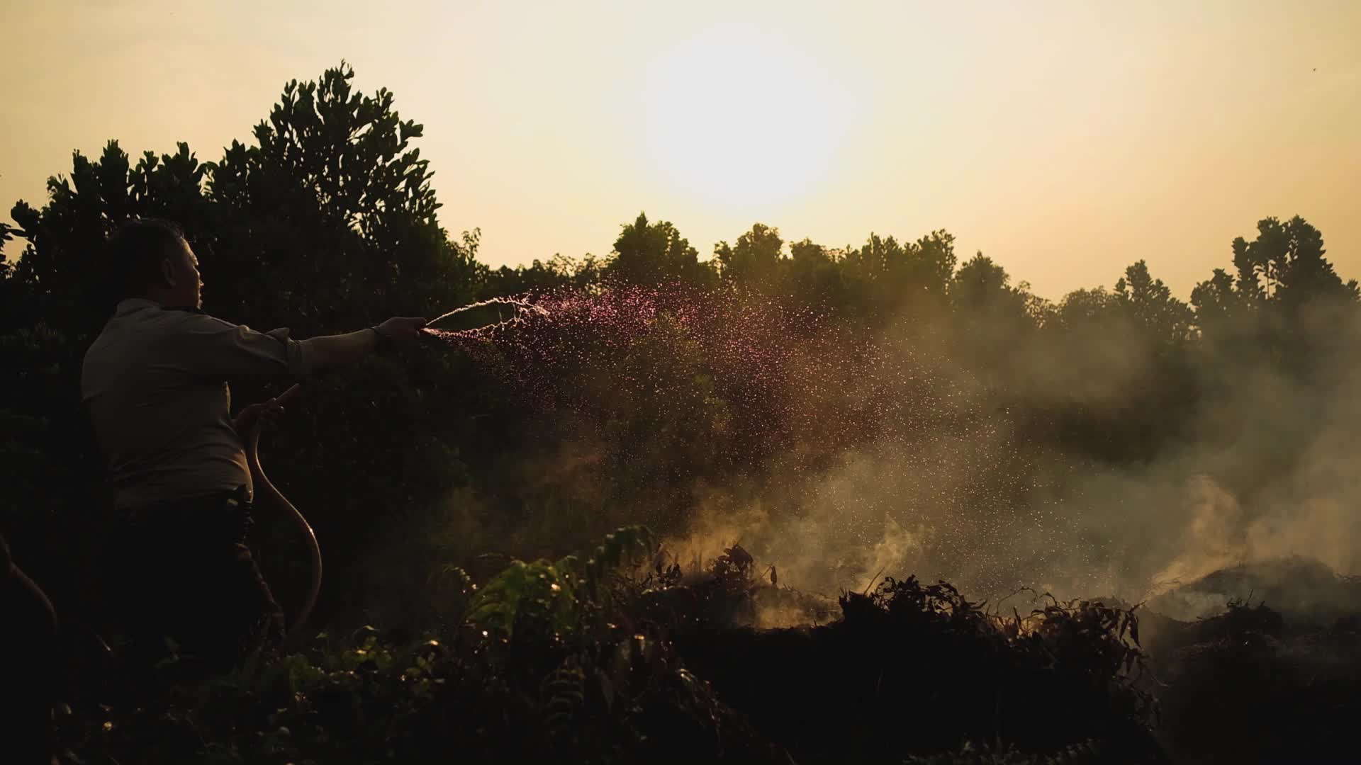 Riau Attempt To Extinguish Forest Fires