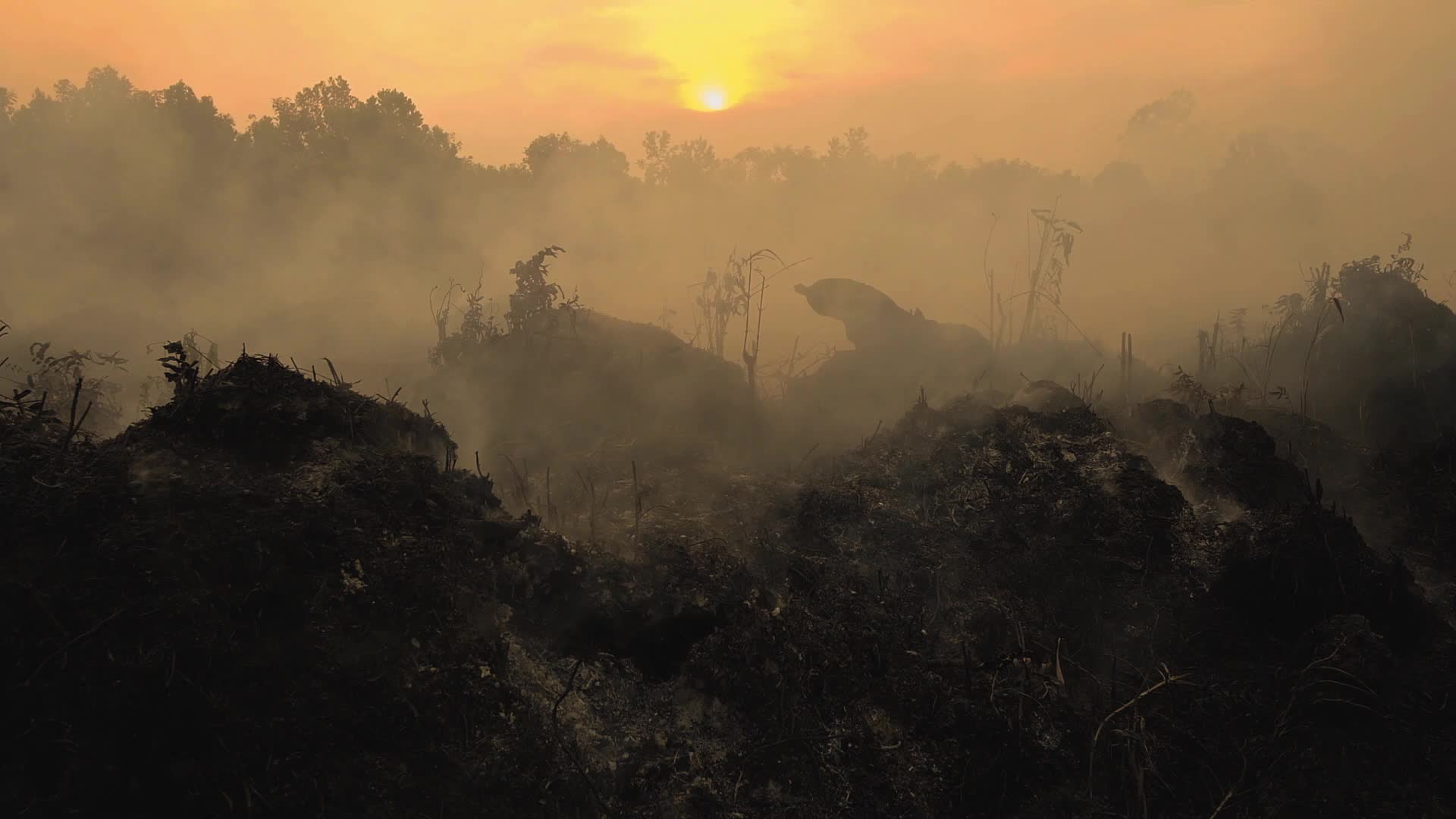 Riau Attempt To Extinguish Forest Fires